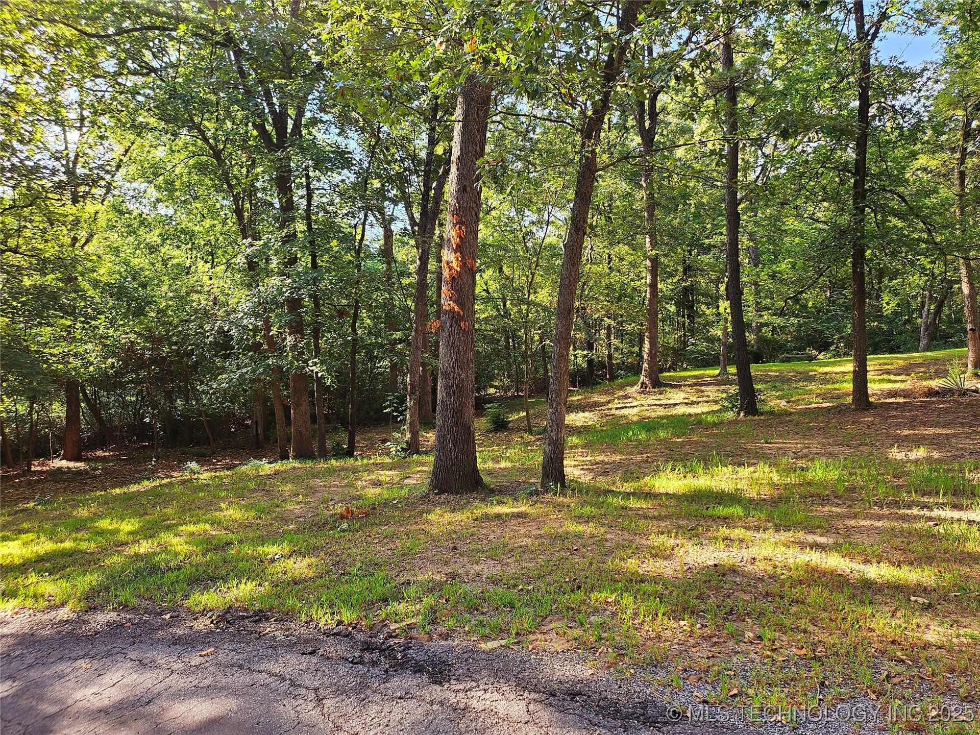 2417 Wilson Street Property Photo 13