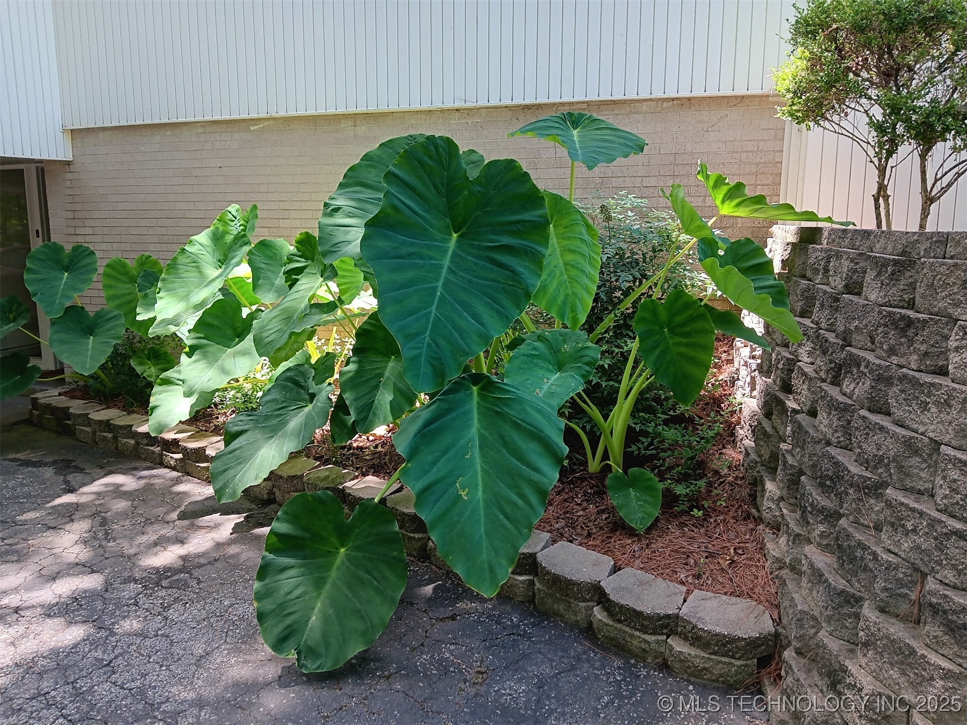 2417 Wilson Street Property Photo 45