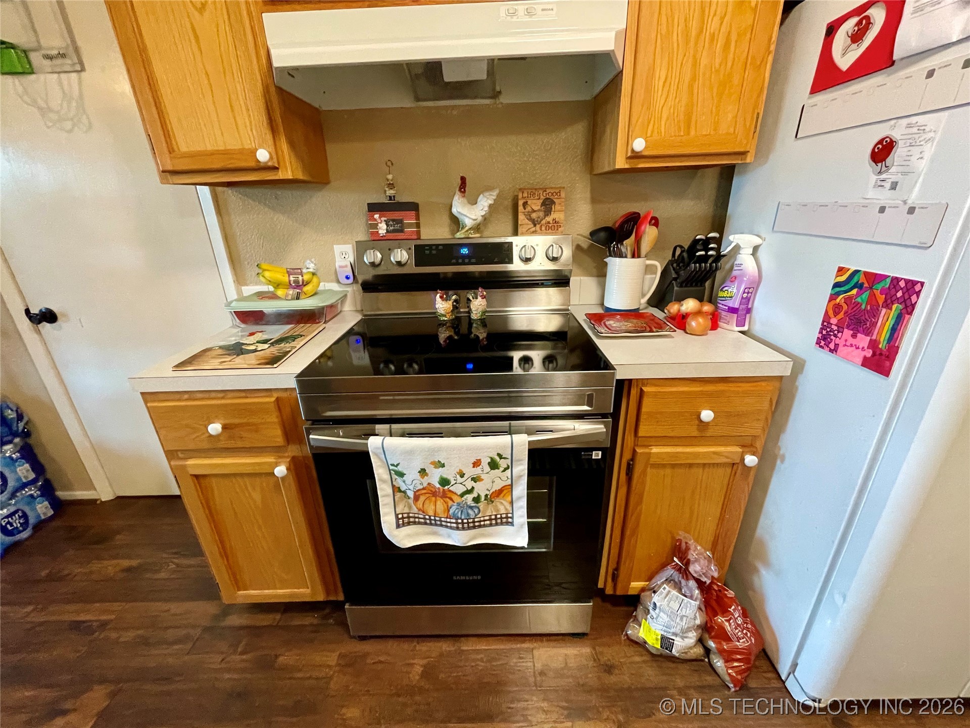 1019 Four Seasons Drive Property Photo 10