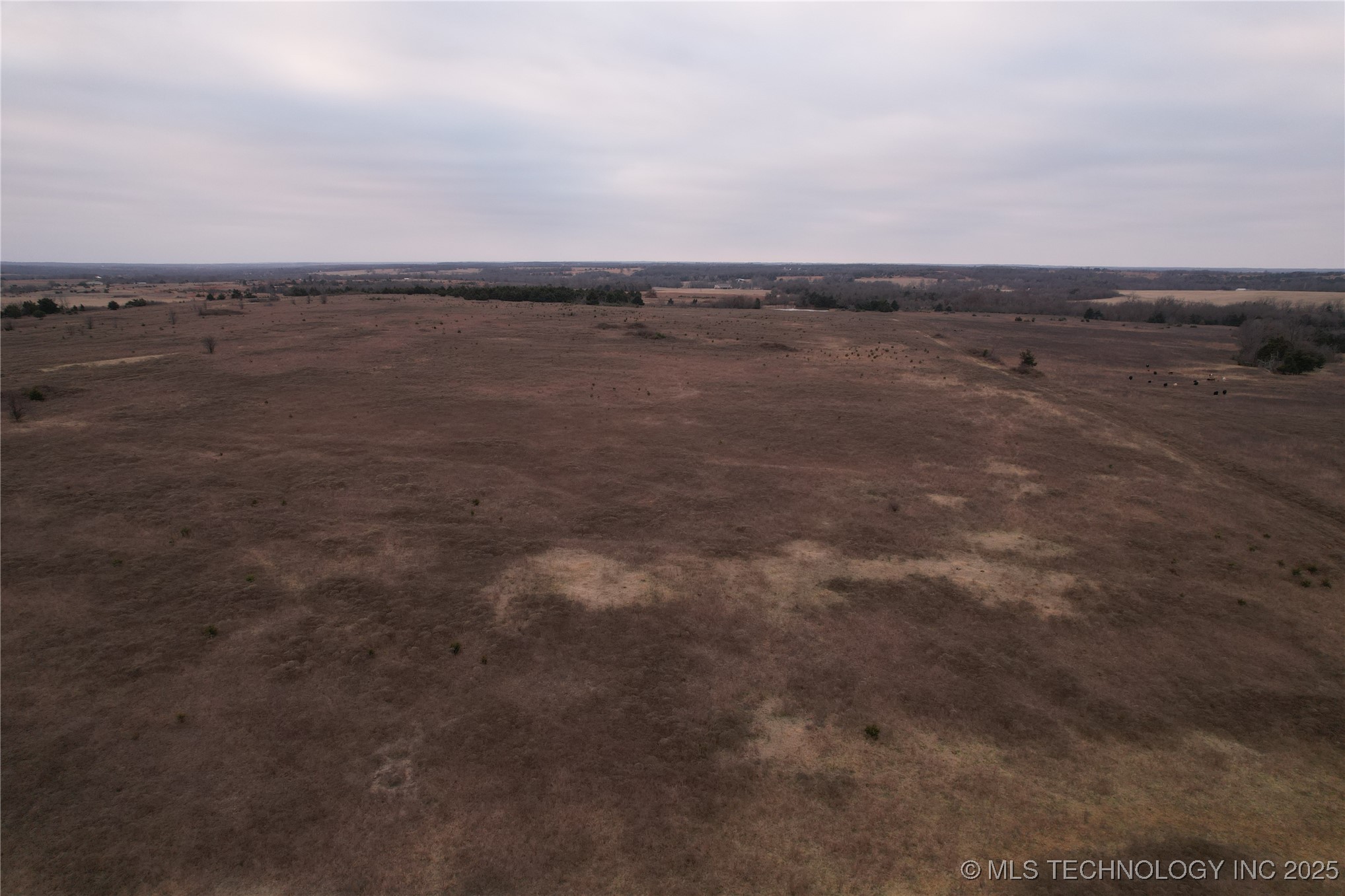 0001 0780 Property Photo 11