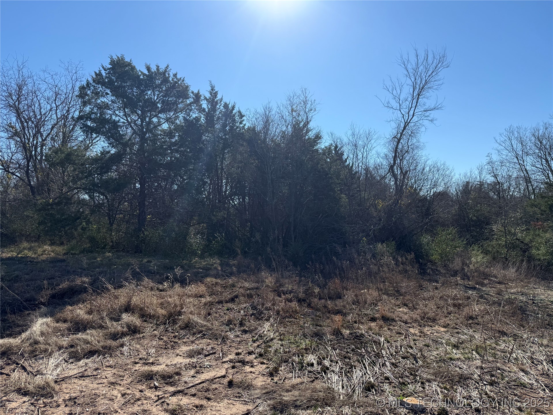 State Hwy 78 Property Photo 5