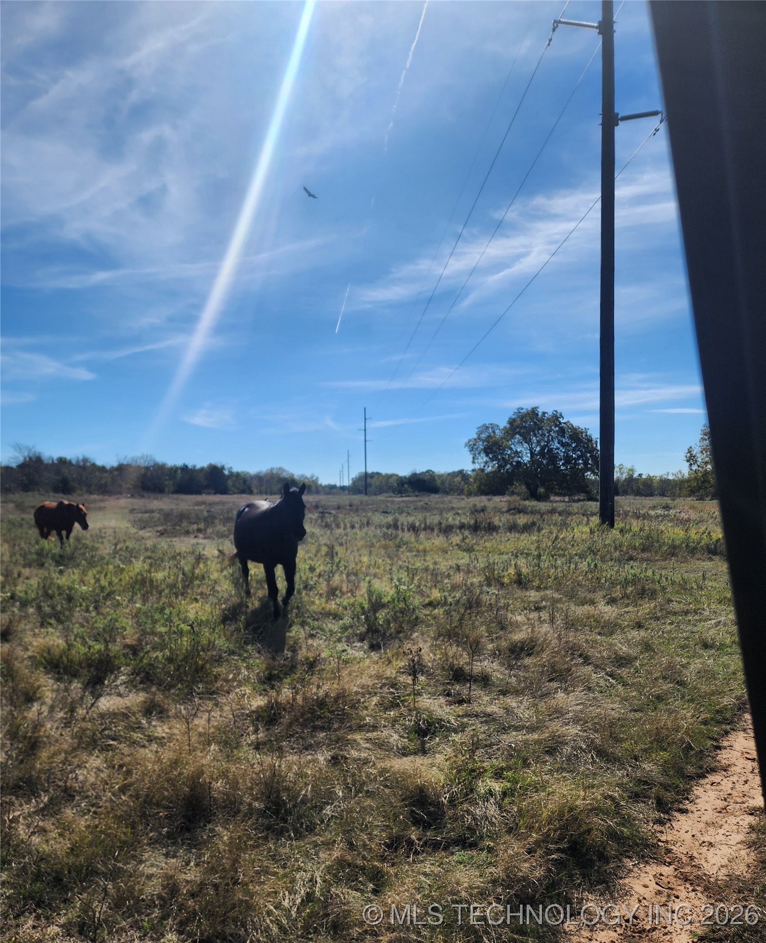 Clifton Road Property Photo 2