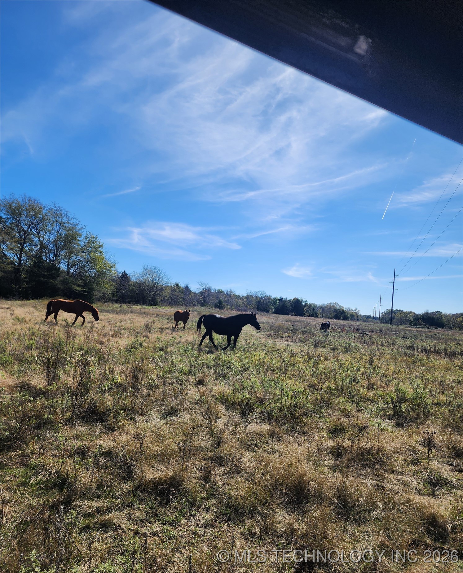 Clifton Road Property Photo 3