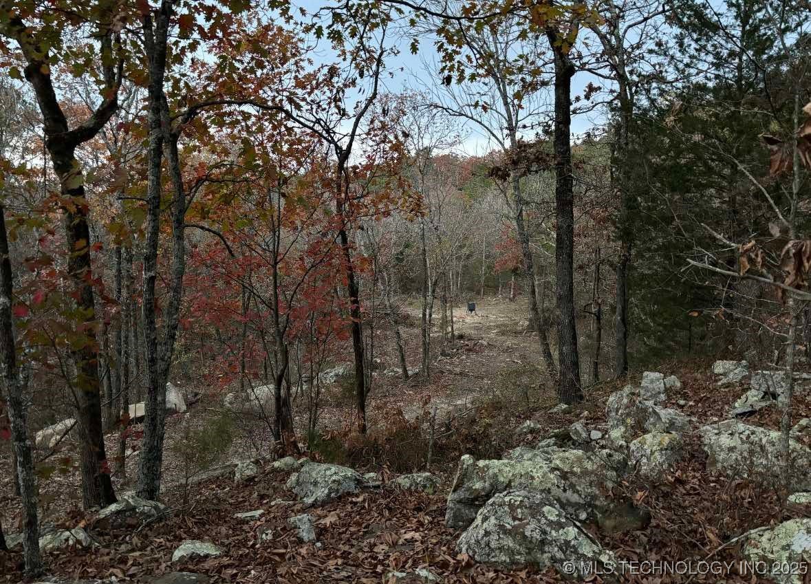 Rural Route Property Photo 32