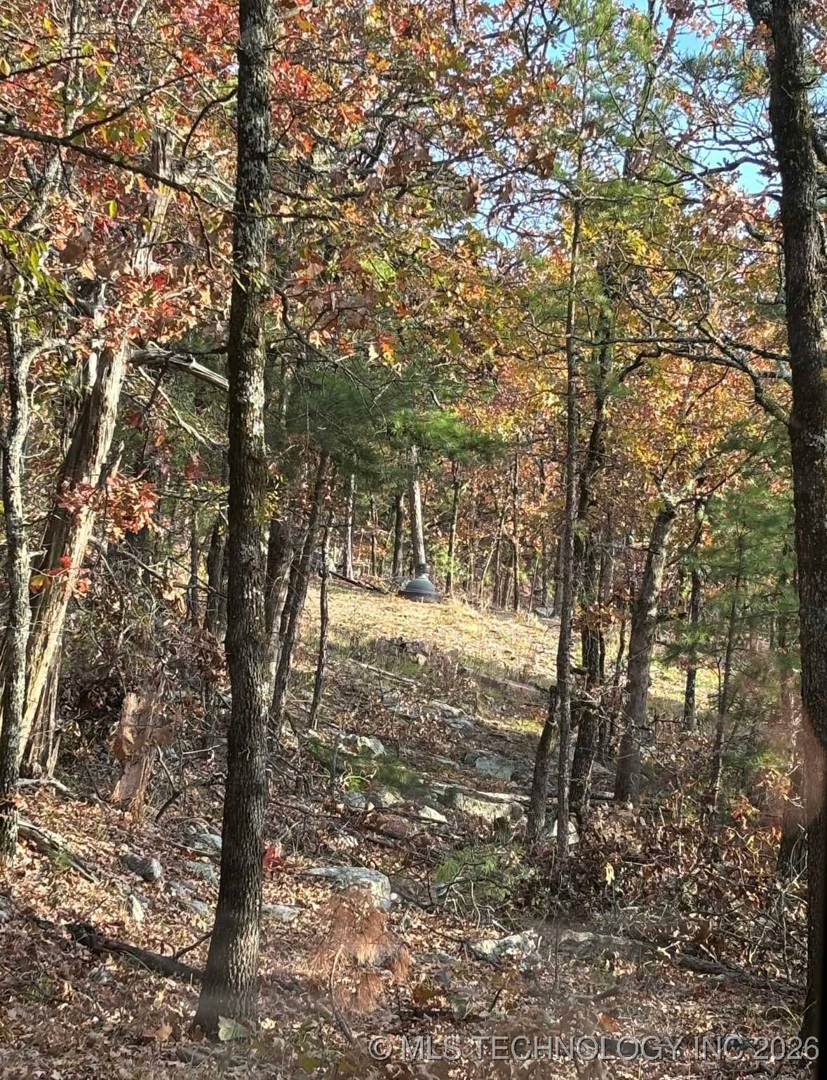 Rural Route Property Photo 33