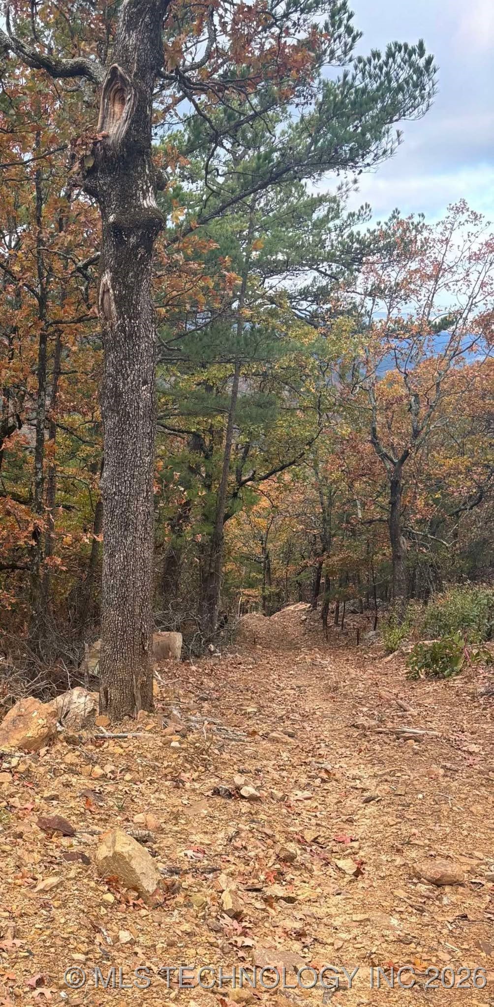 Rural Route Property Photo 36