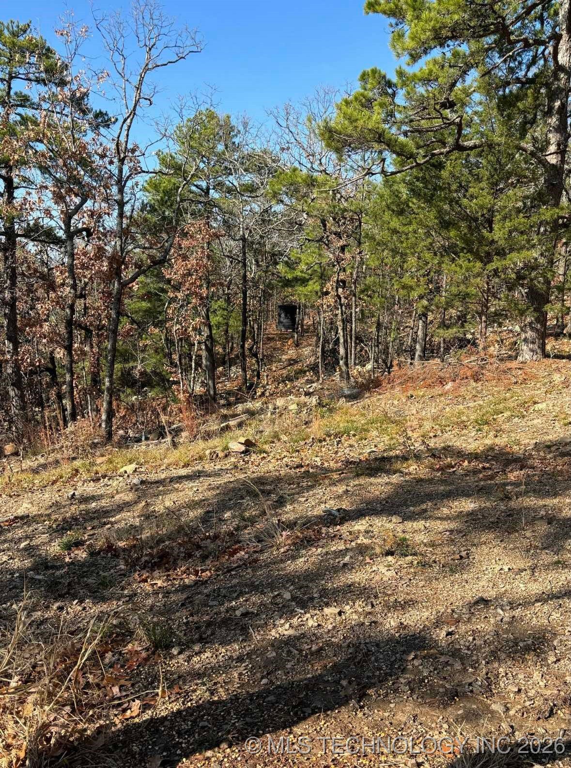 Rural Route Property Photo 38