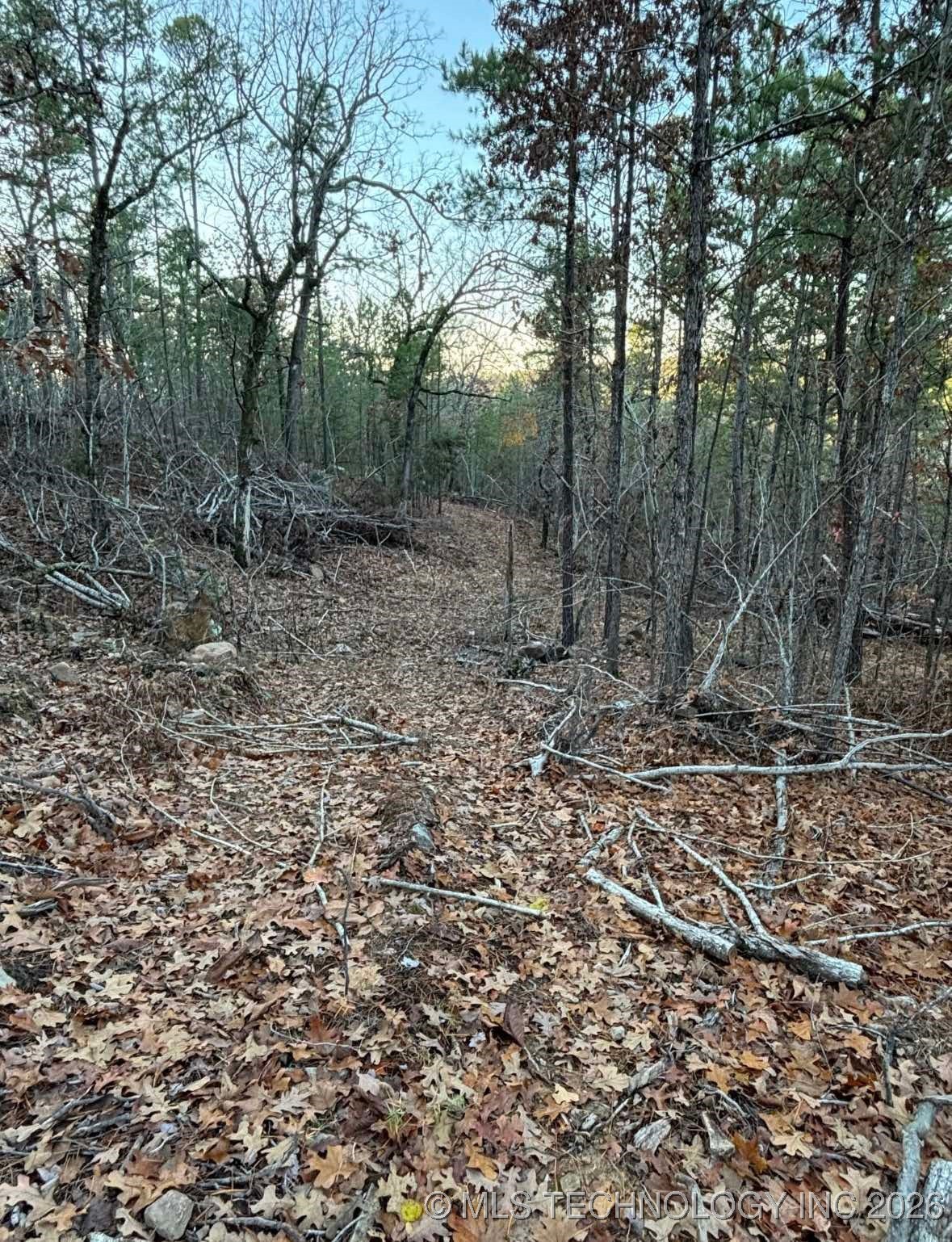 Rural Route Property Photo 41