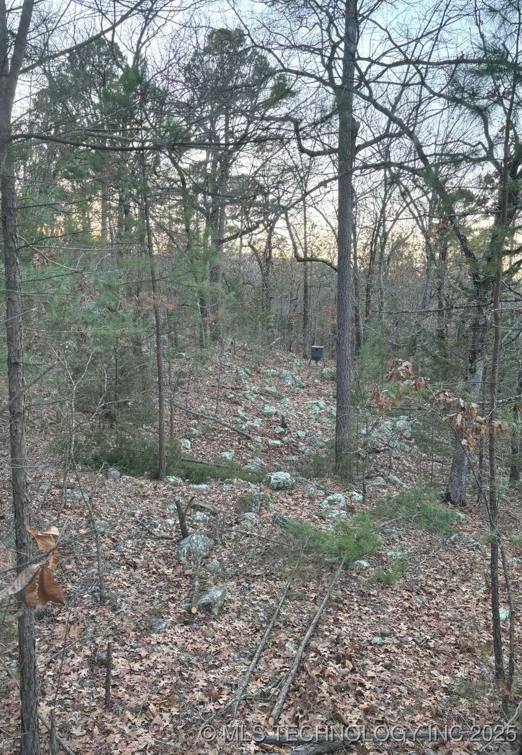 Rural Route Property Photo 42