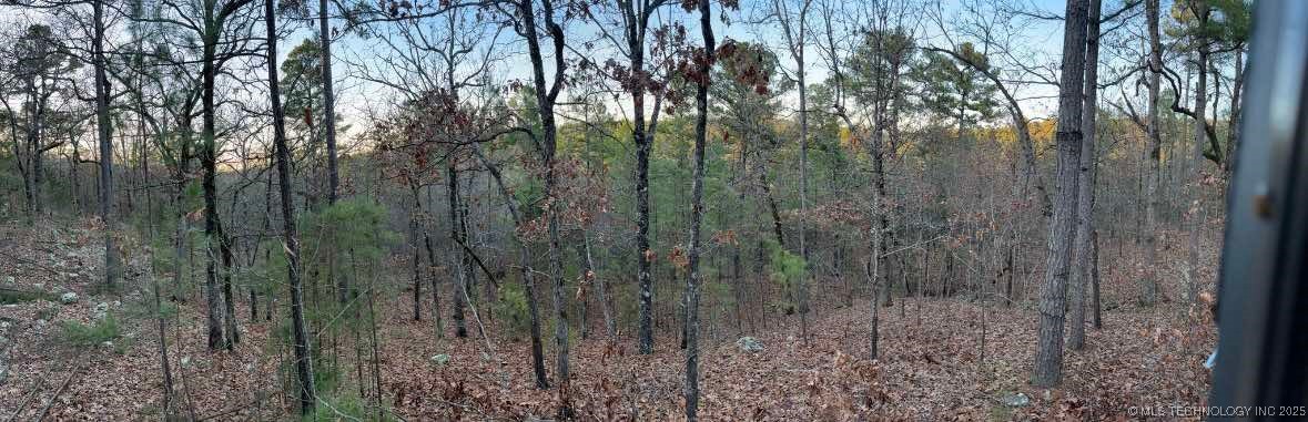 Rural Route Property Photo 43