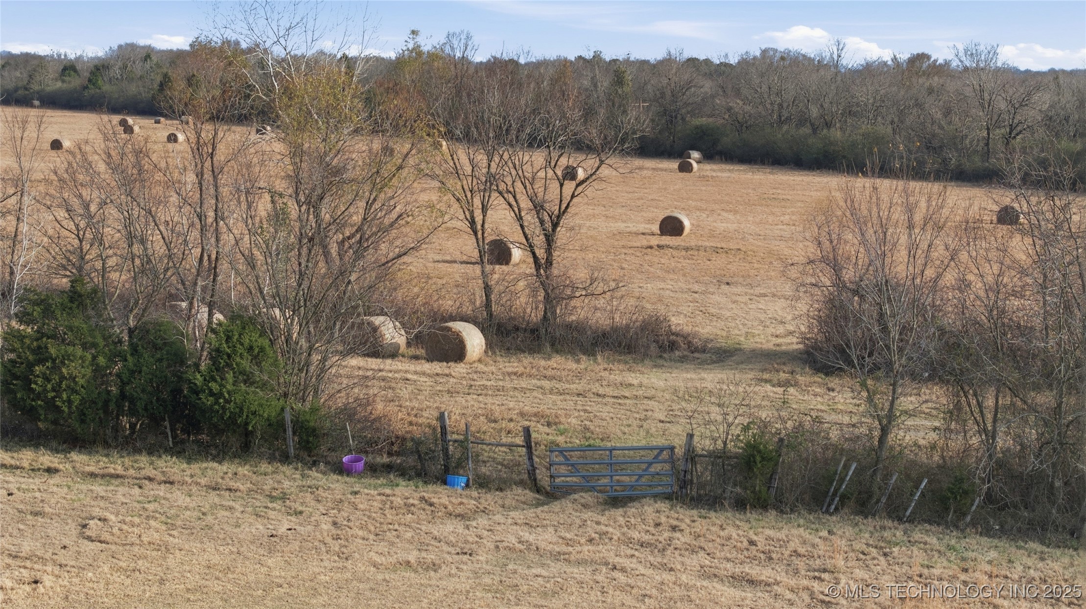 1200 S 54th Street Property Photo 53