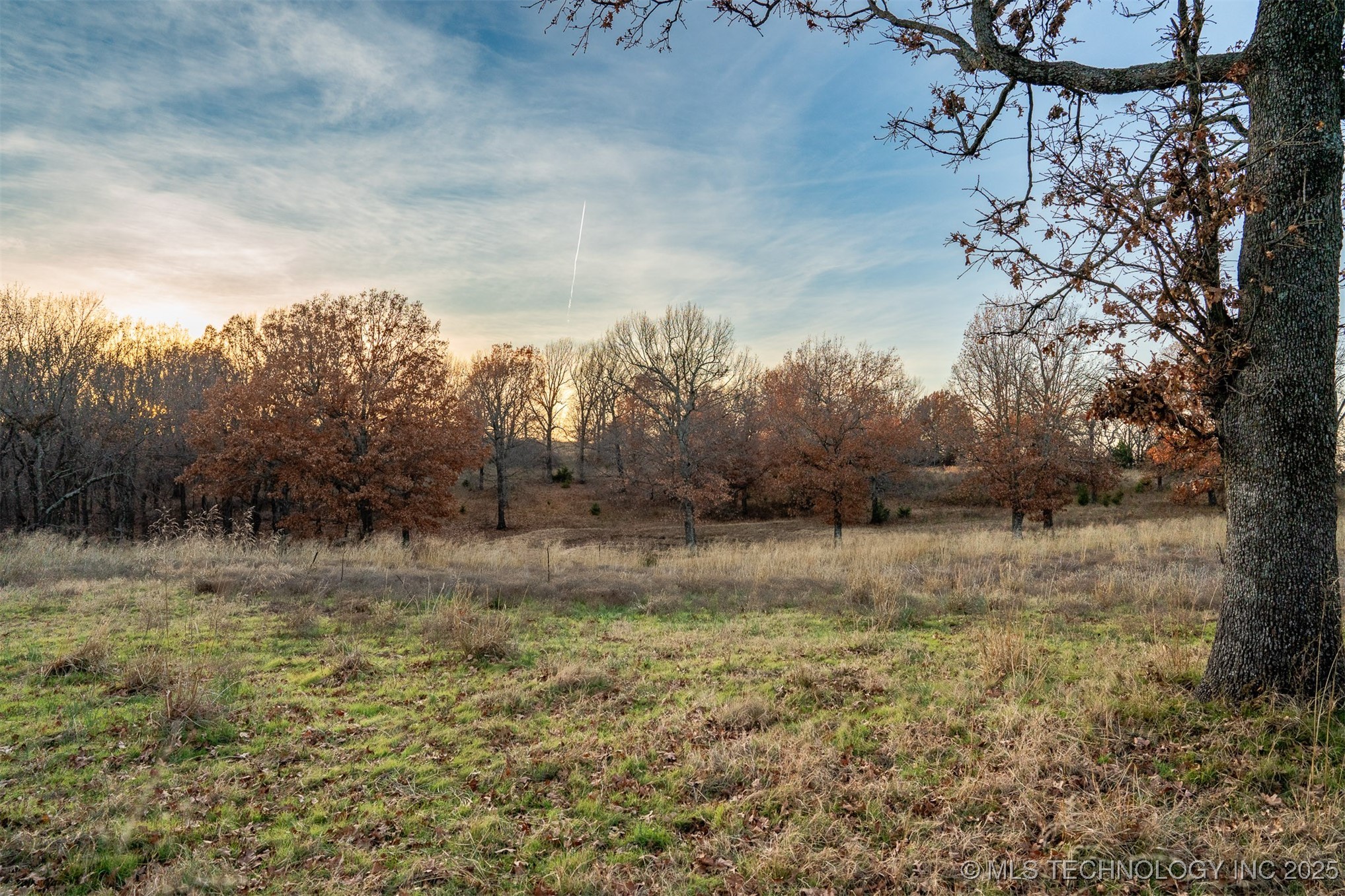 471 S 437 Property Photo 21