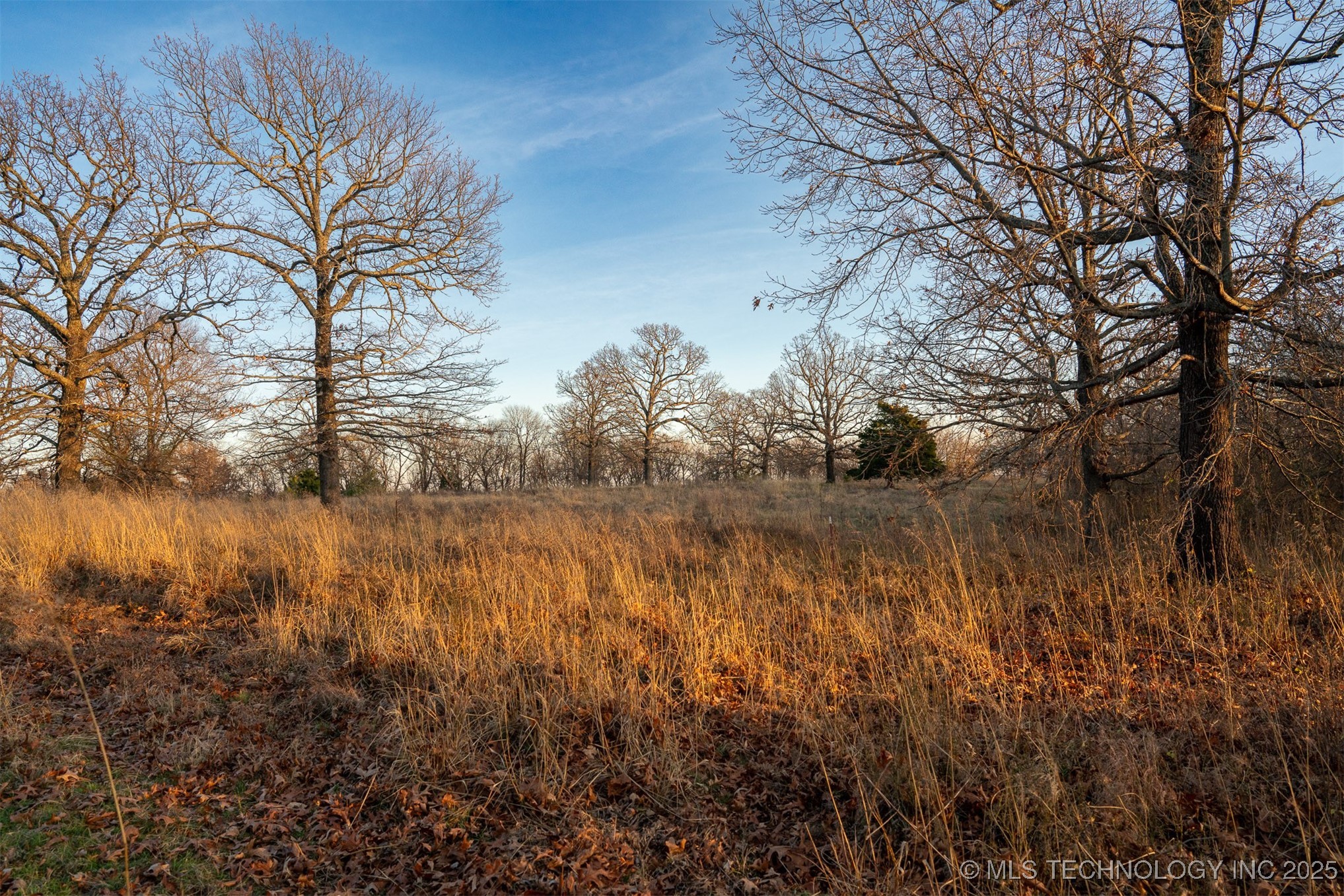 471 S 437 Property Photo 43