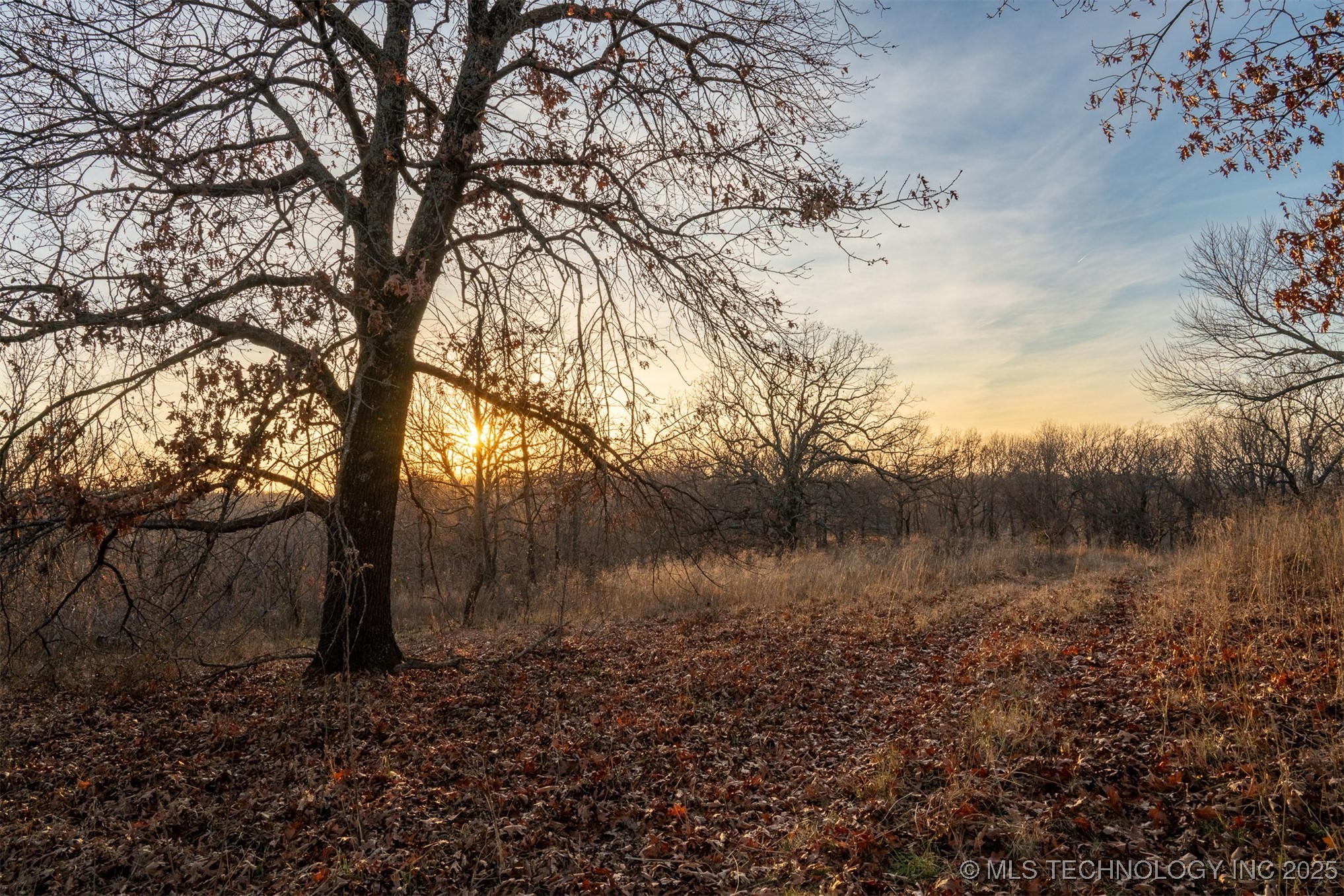 471 S 437 Property Photo 44
