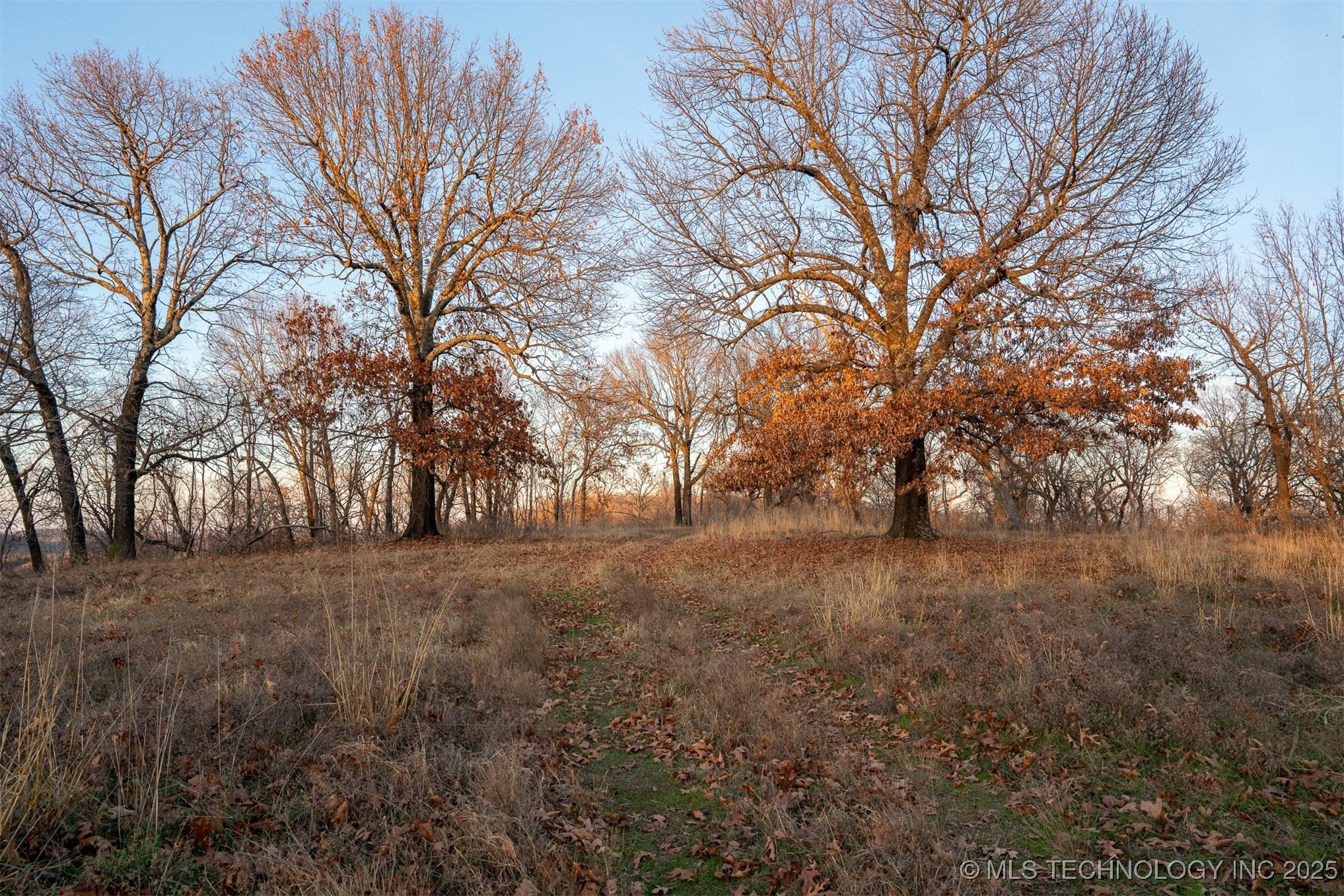 471 S 437 Property Photo 46