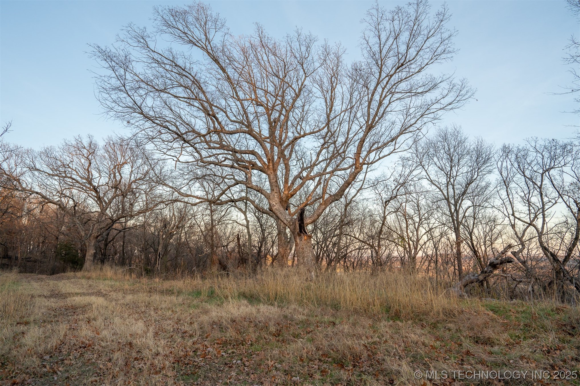 471 S 437 Property Photo 47