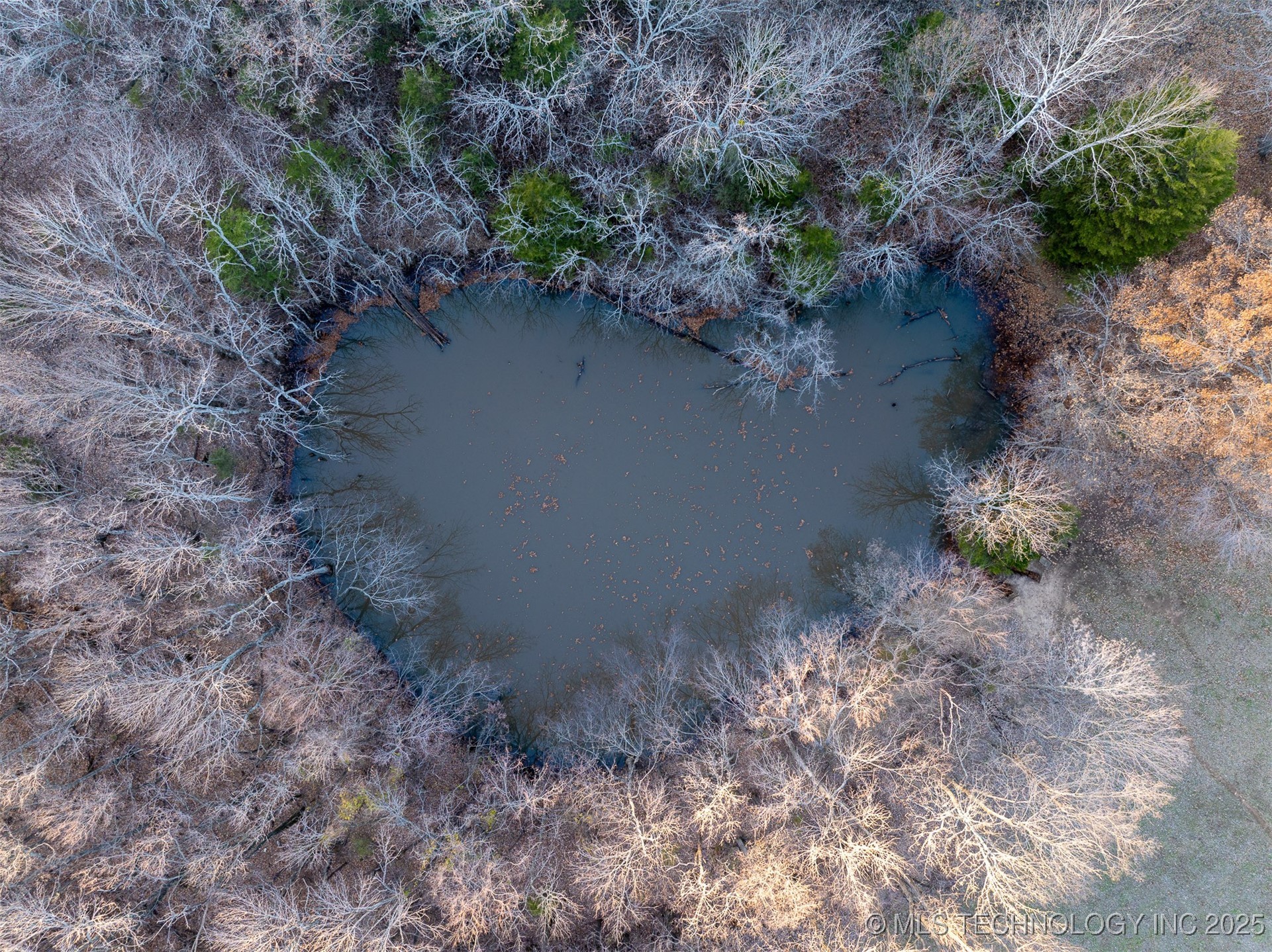 471 S 437 Property Photo 59