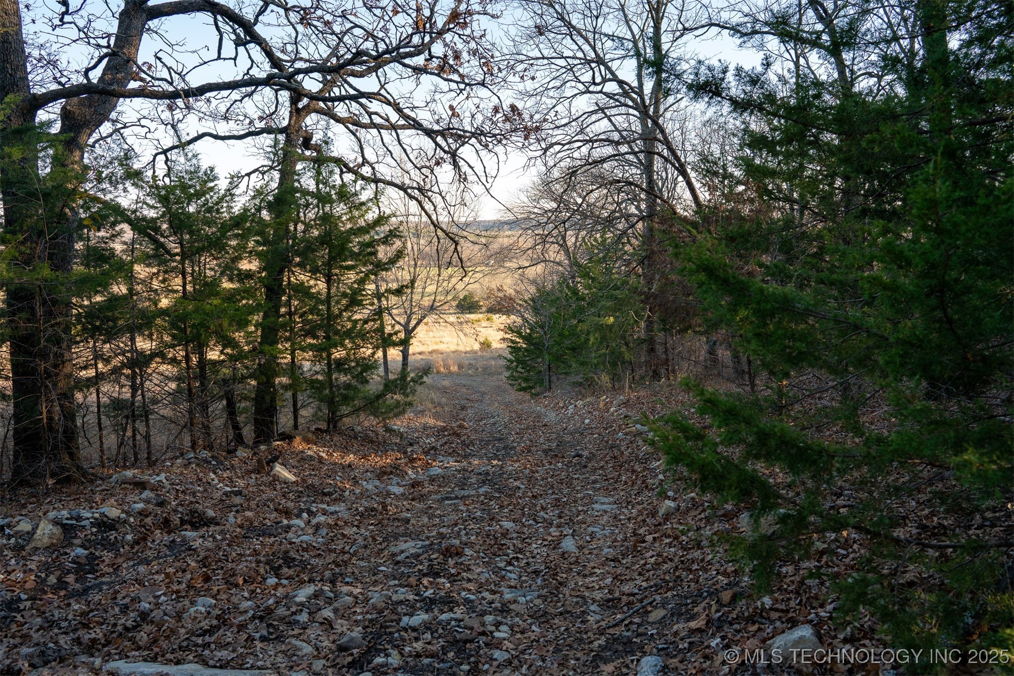 471 S 437 Property Photo 77