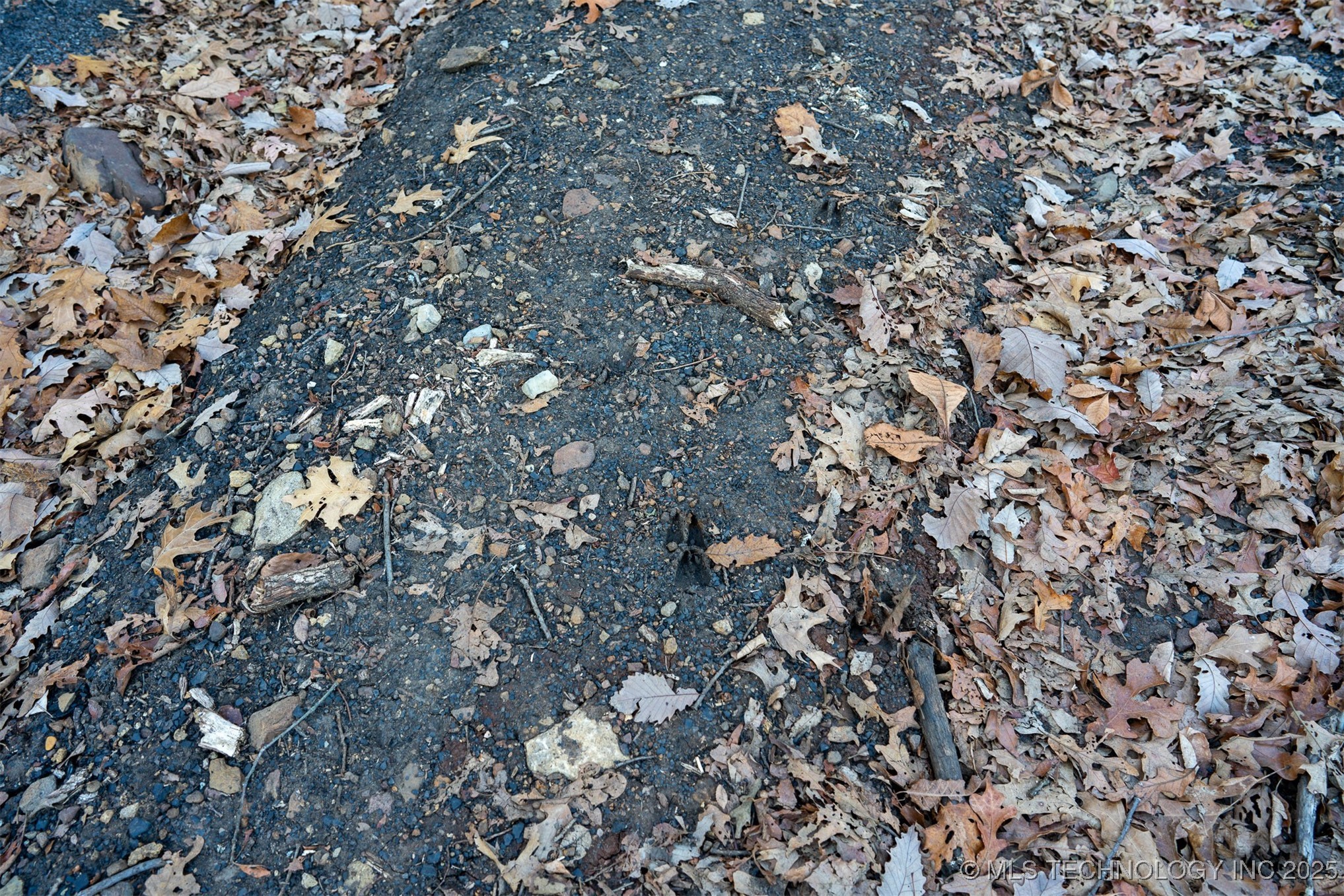 471 S 437 Property Photo 78