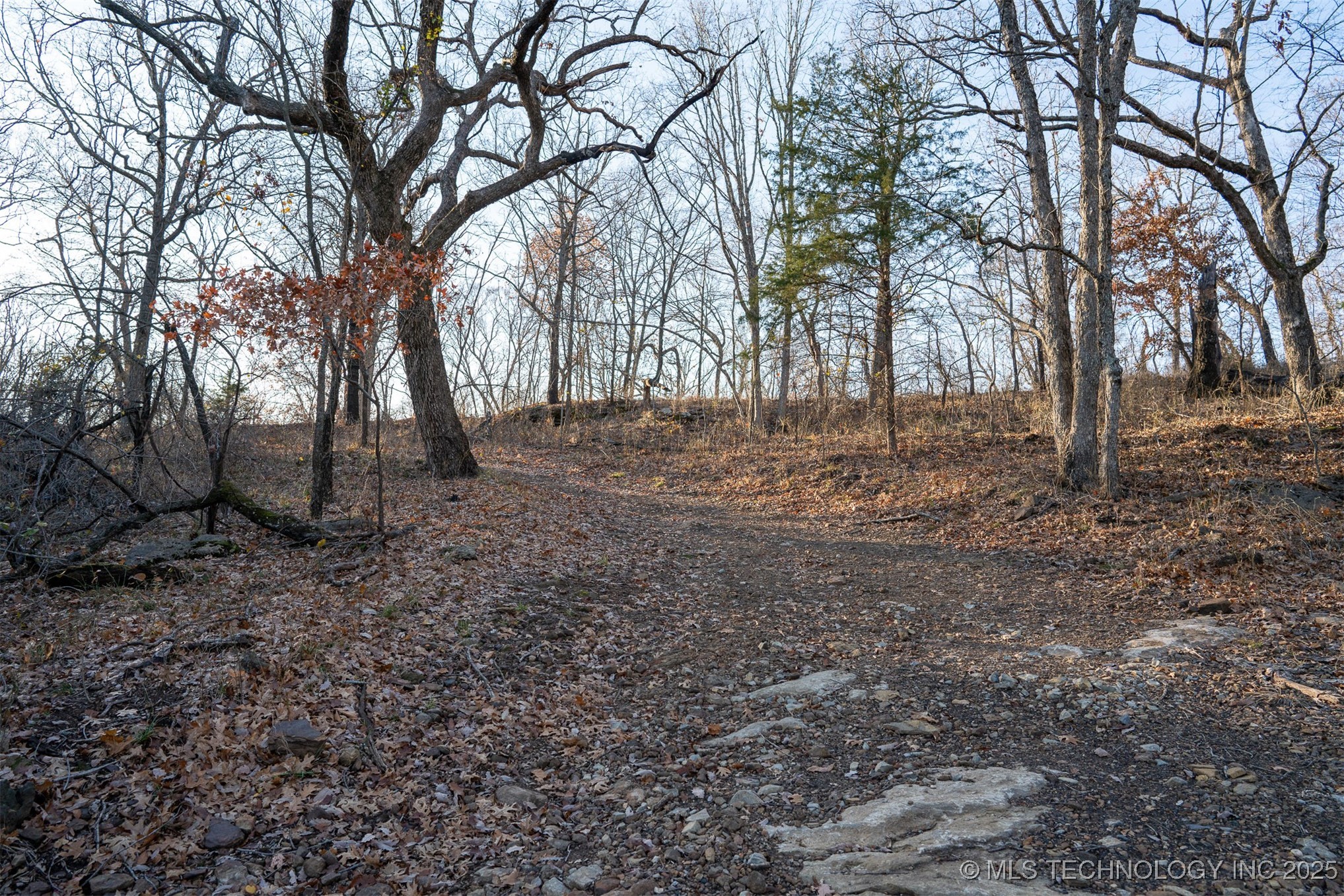 471 S 437 Property Photo 79