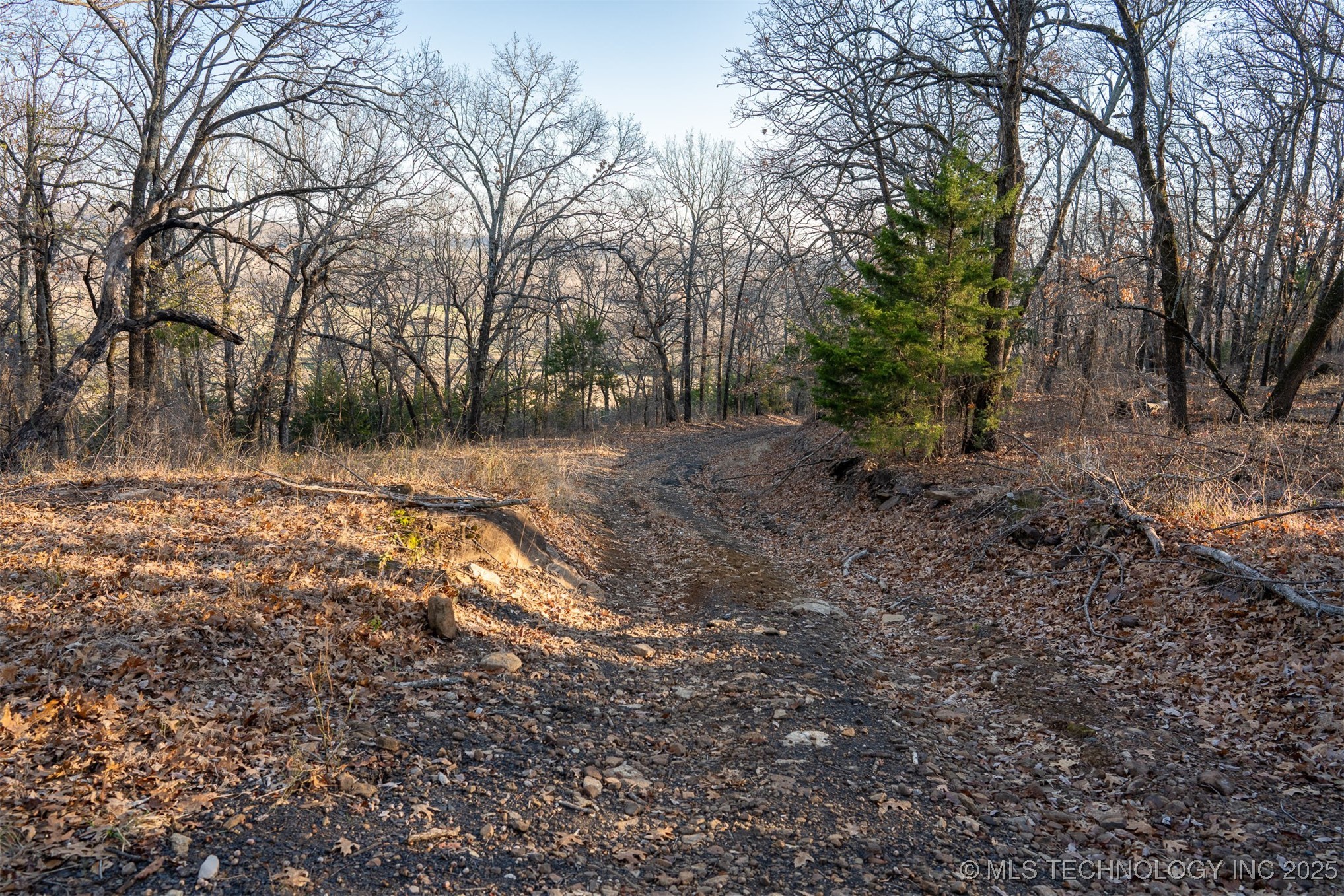 471 S 437 Property Photo 80