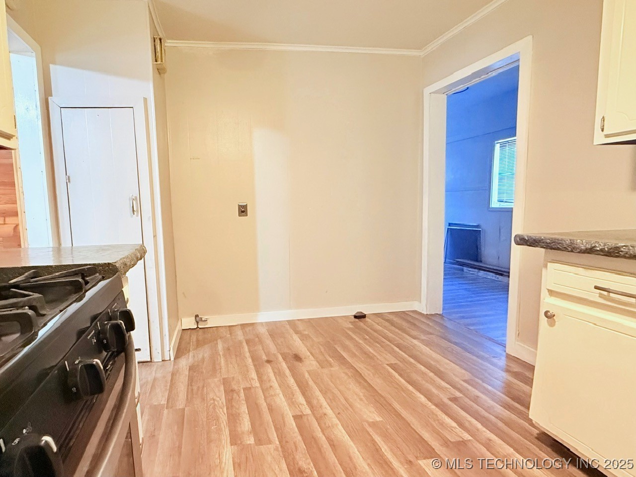 107 W Carter Street Property Photo 18