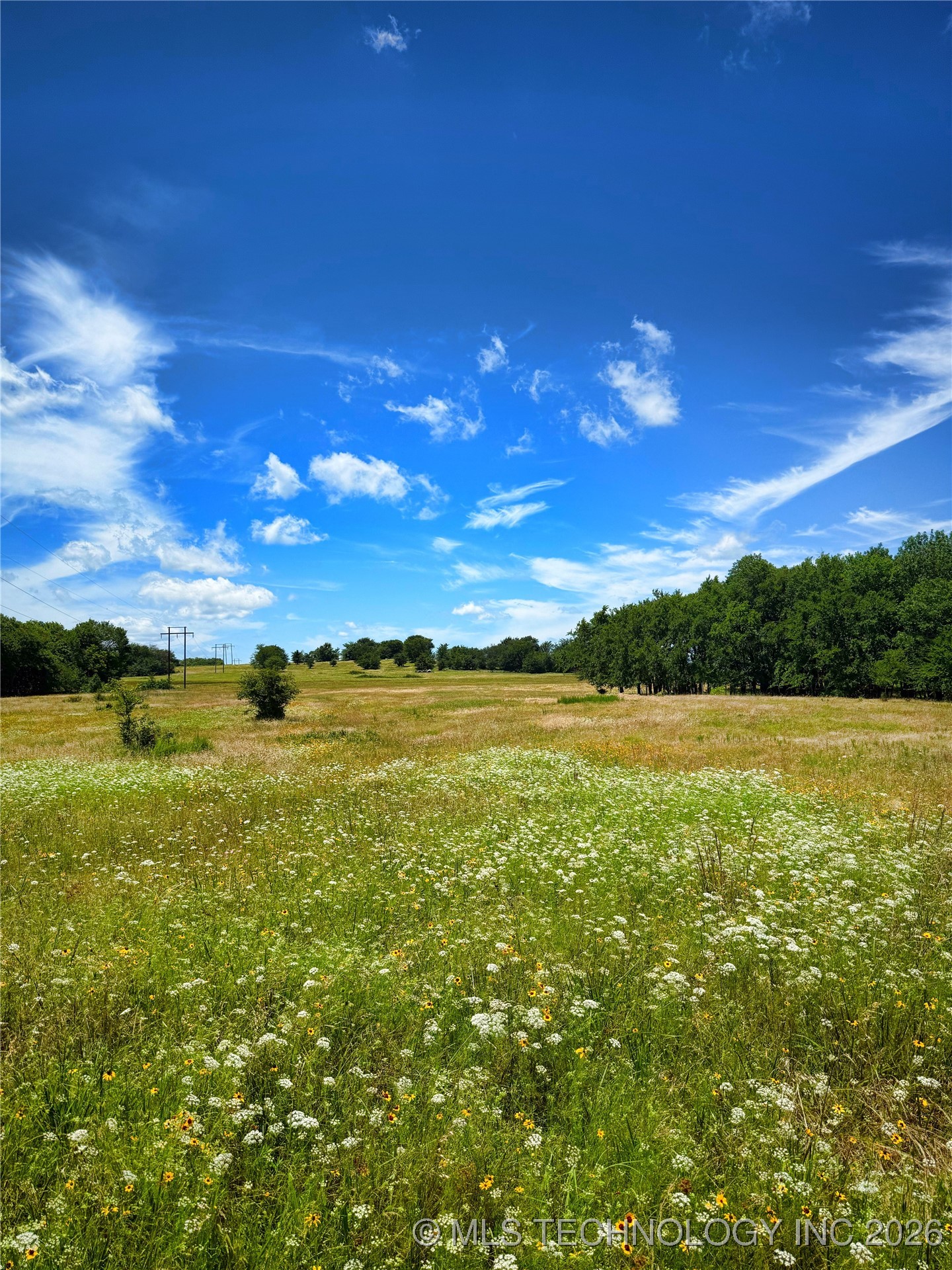 1065 Road Property Photo 8