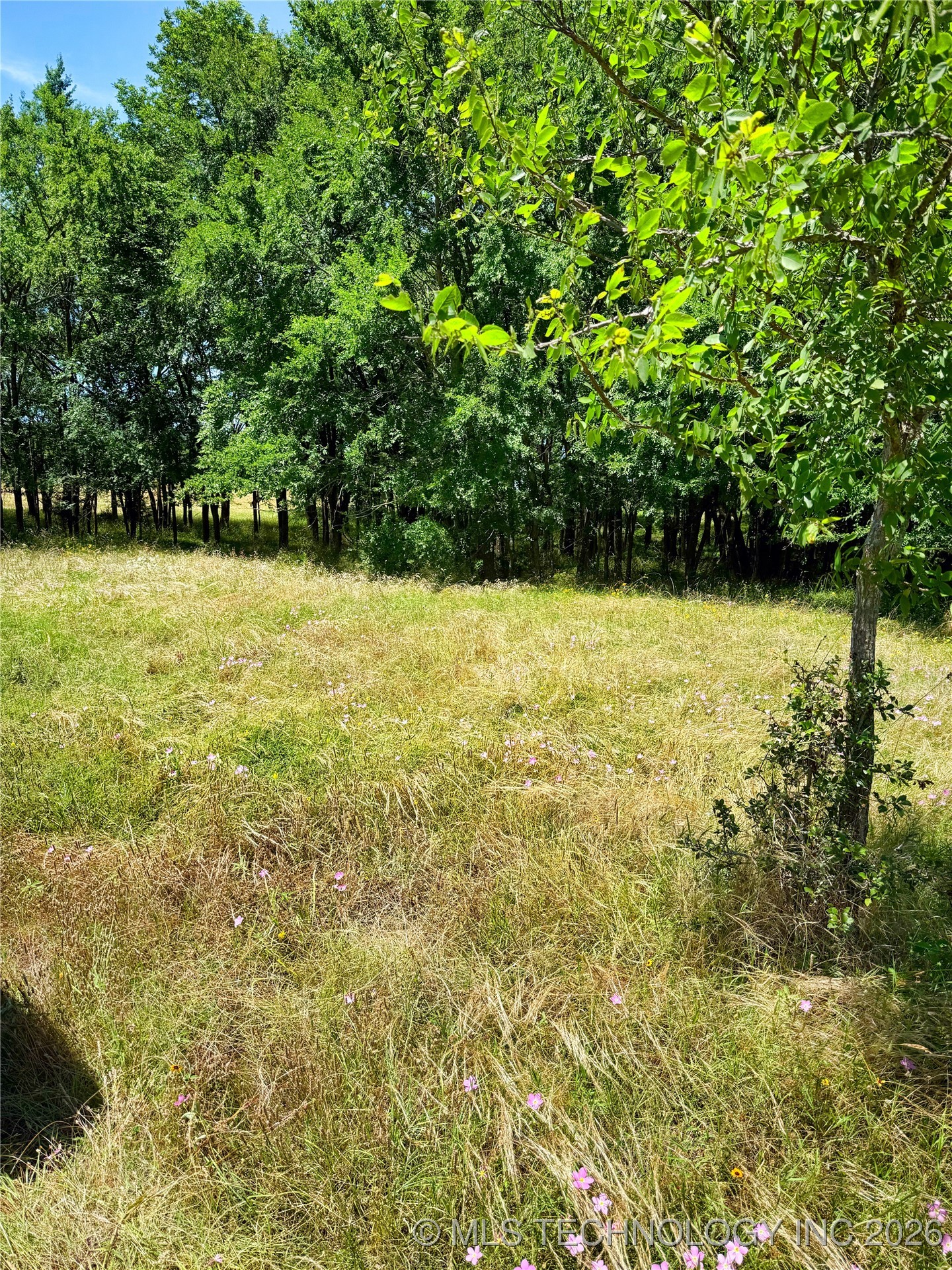 1065 Road Property Photo 13