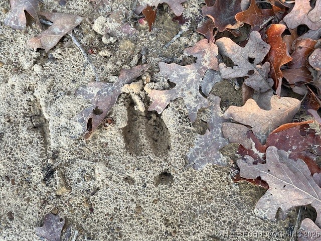 4061 S 177th Avenue W Property Photo 10