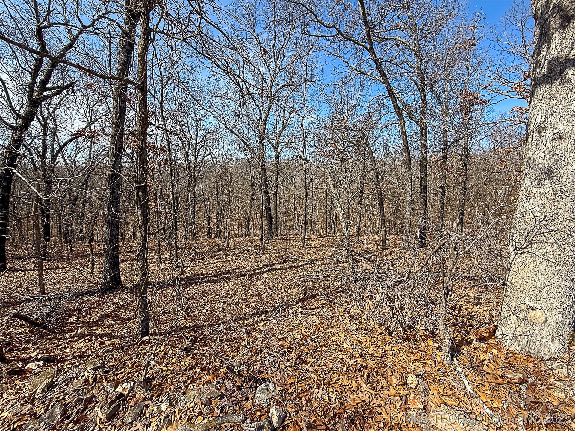 Redbud Loop Property Photo 1