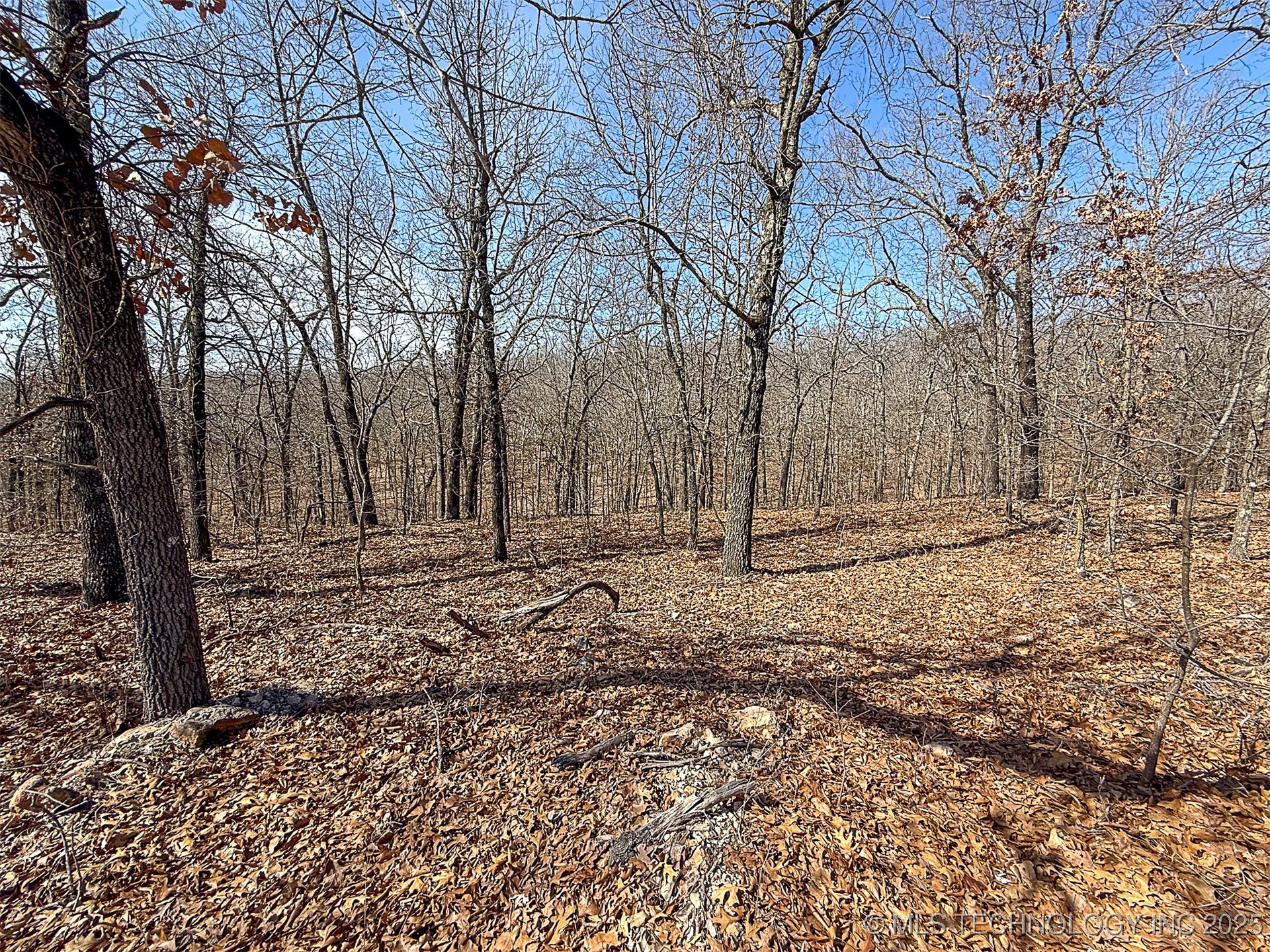 Redbud Loop Property Photo 2