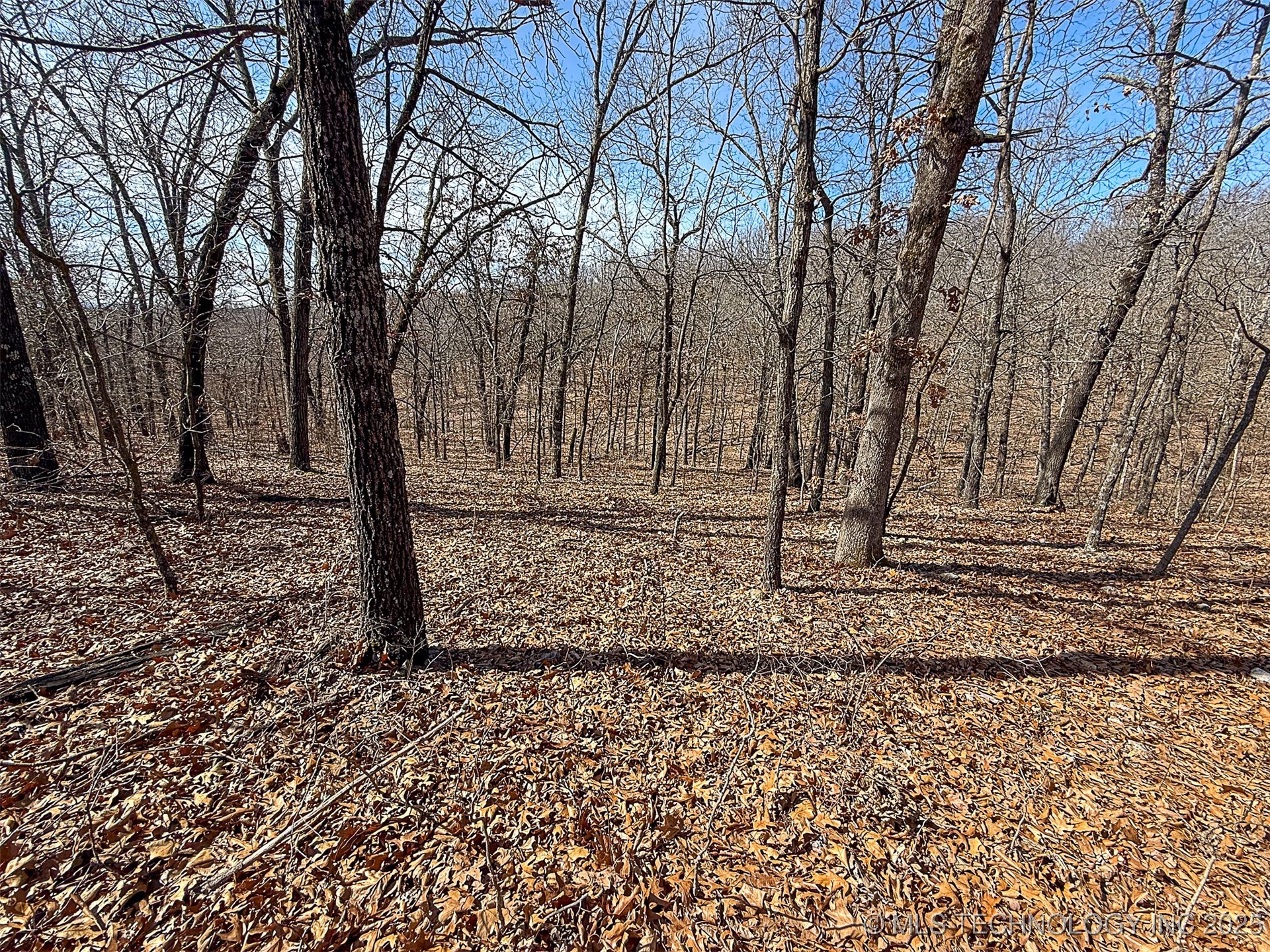 Redbud Loop Property Photo 3