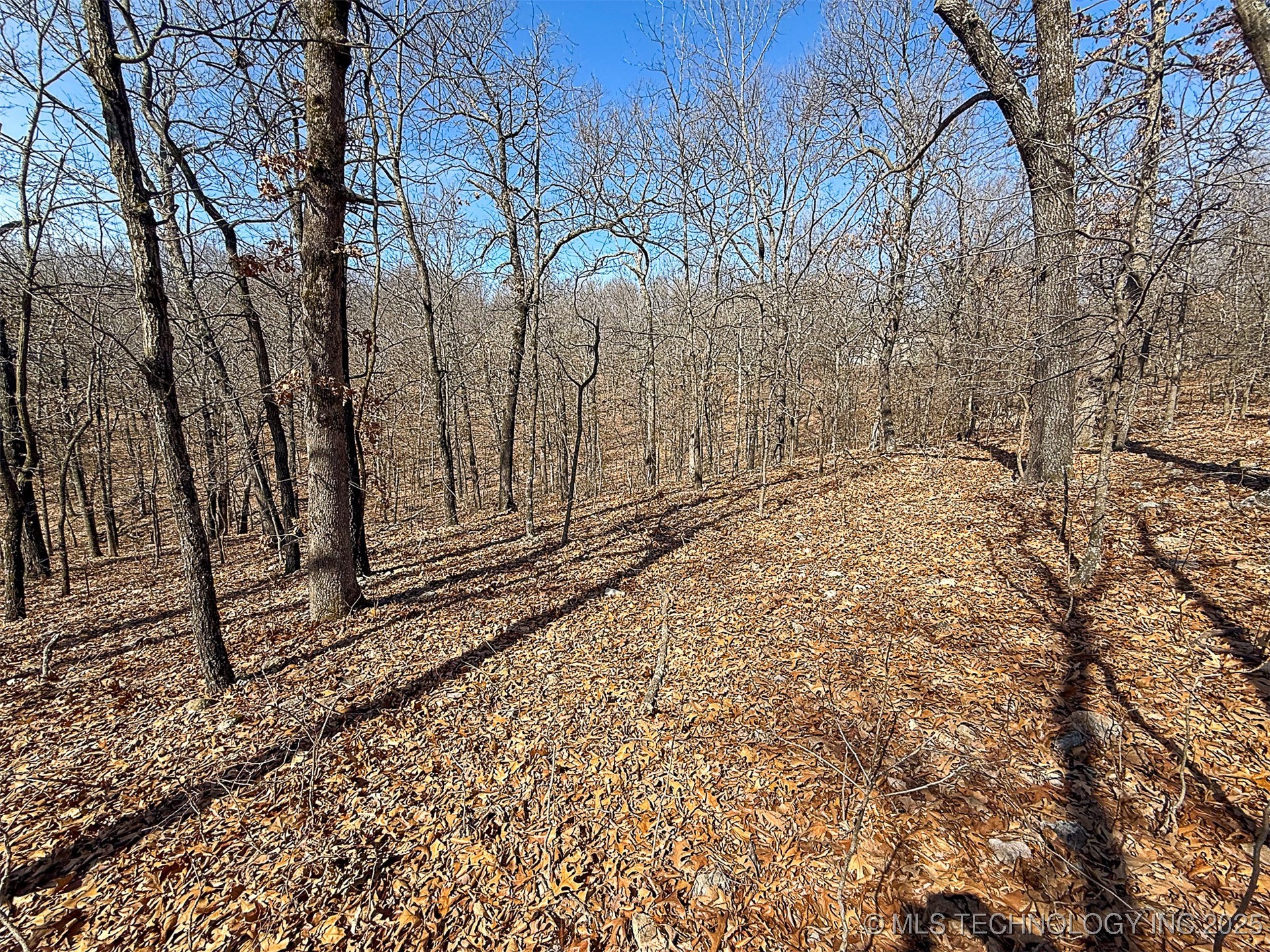 Redbud Loop Property Photo 4
