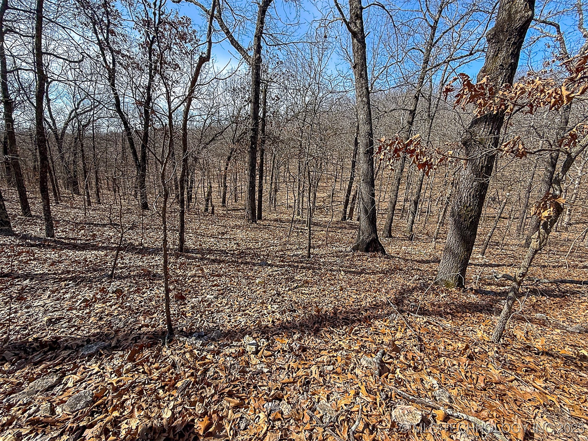 Redbud Loop Property Photo 5