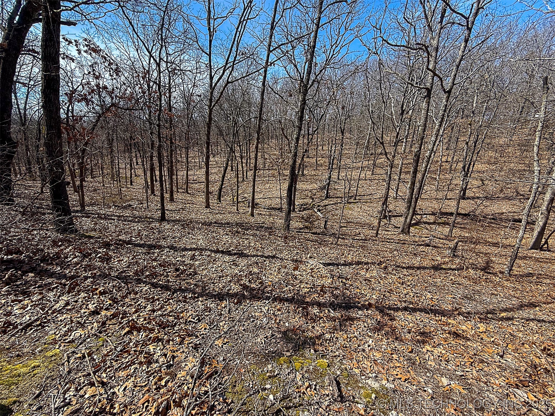 Redbud Loop Property Photo 6