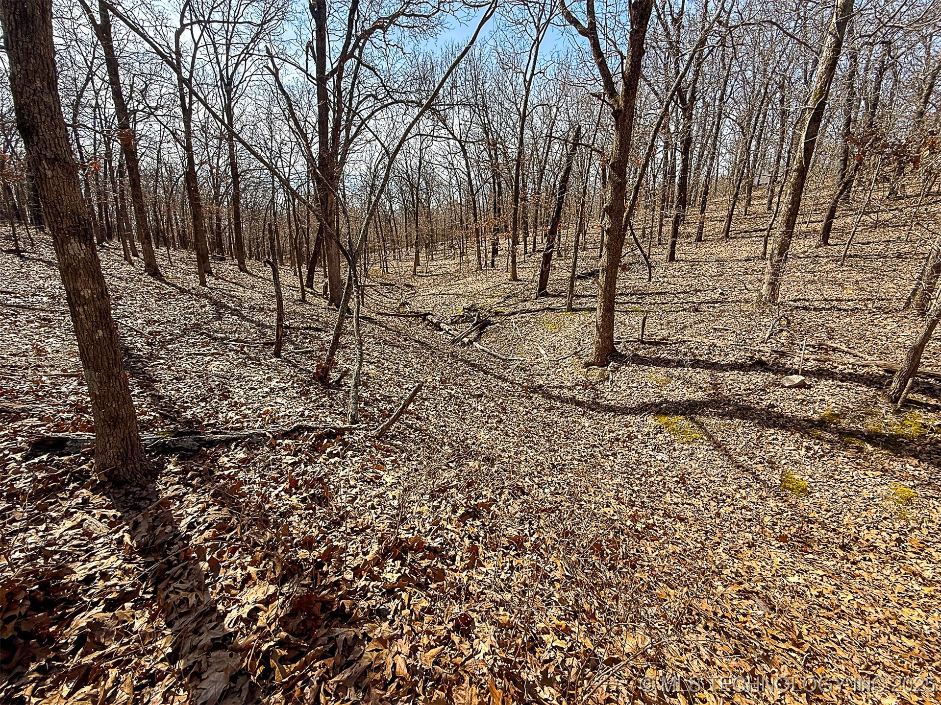 Redbud Loop Property Photo 7