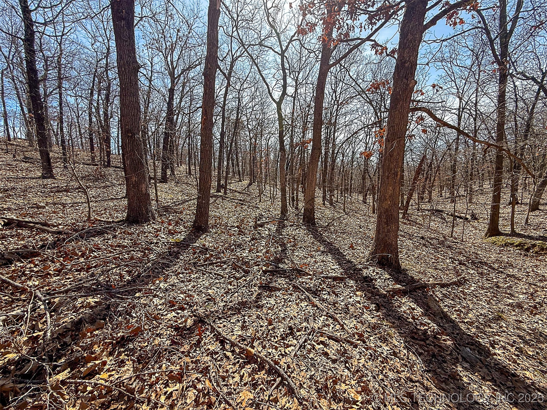 Redbud Loop Property Photo 8