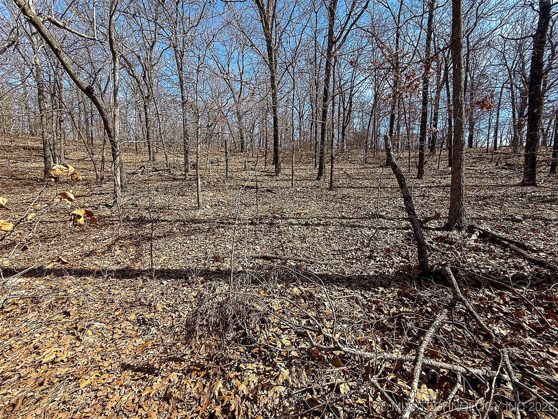 Redbud Loop Property Photo 9