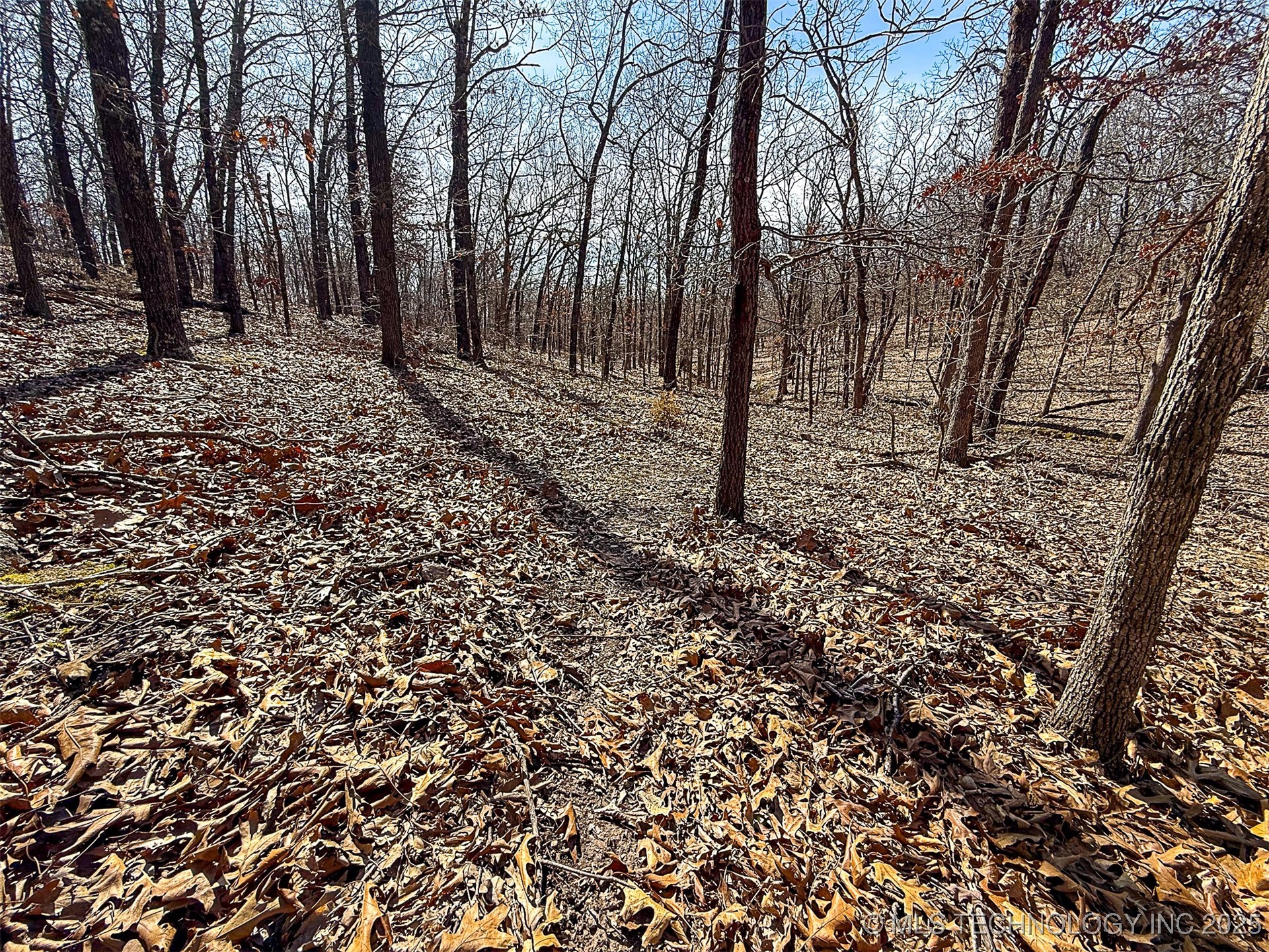 Redbud Loop Property Photo 10