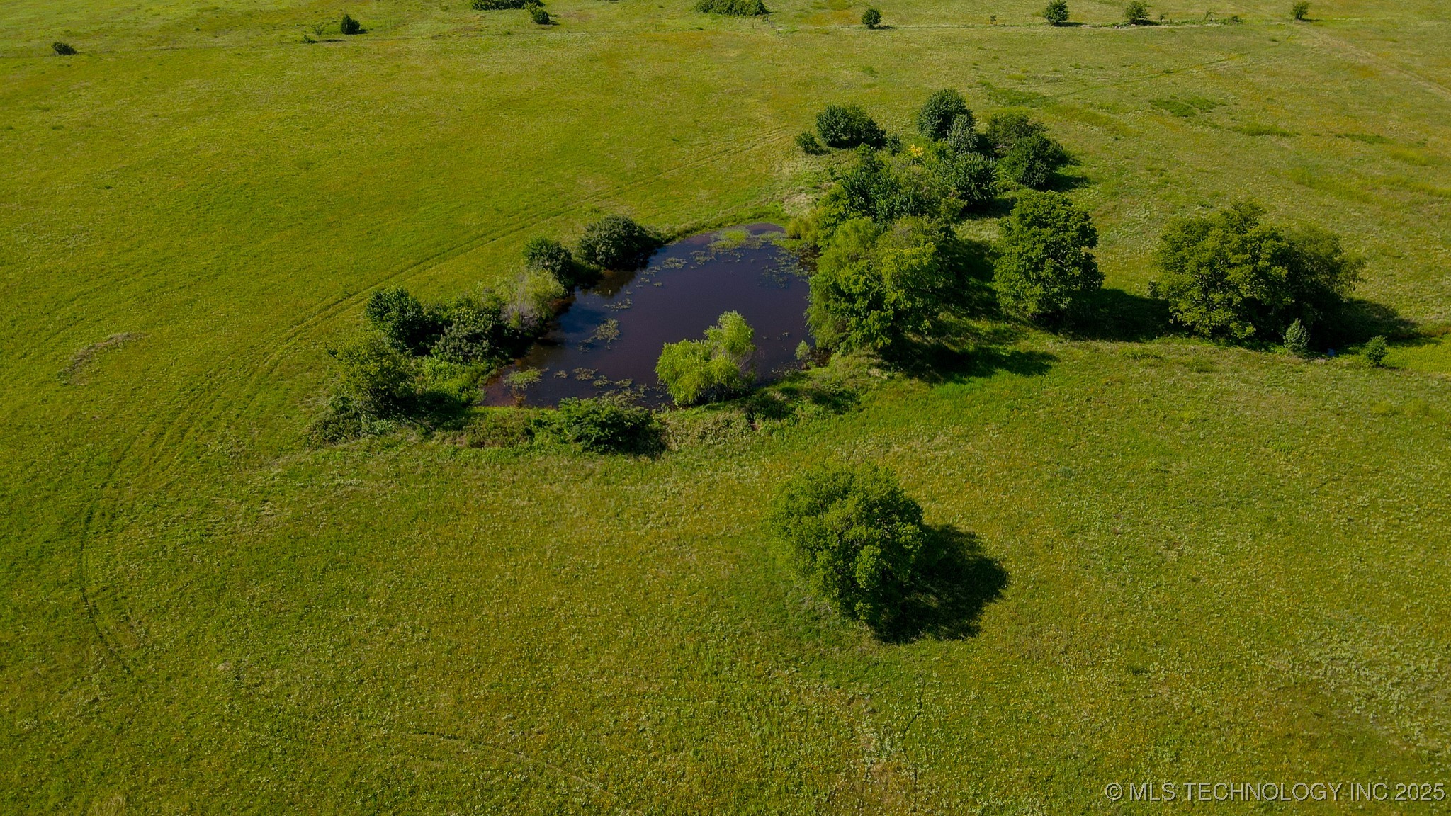 E 186th Street North Property Photo 8