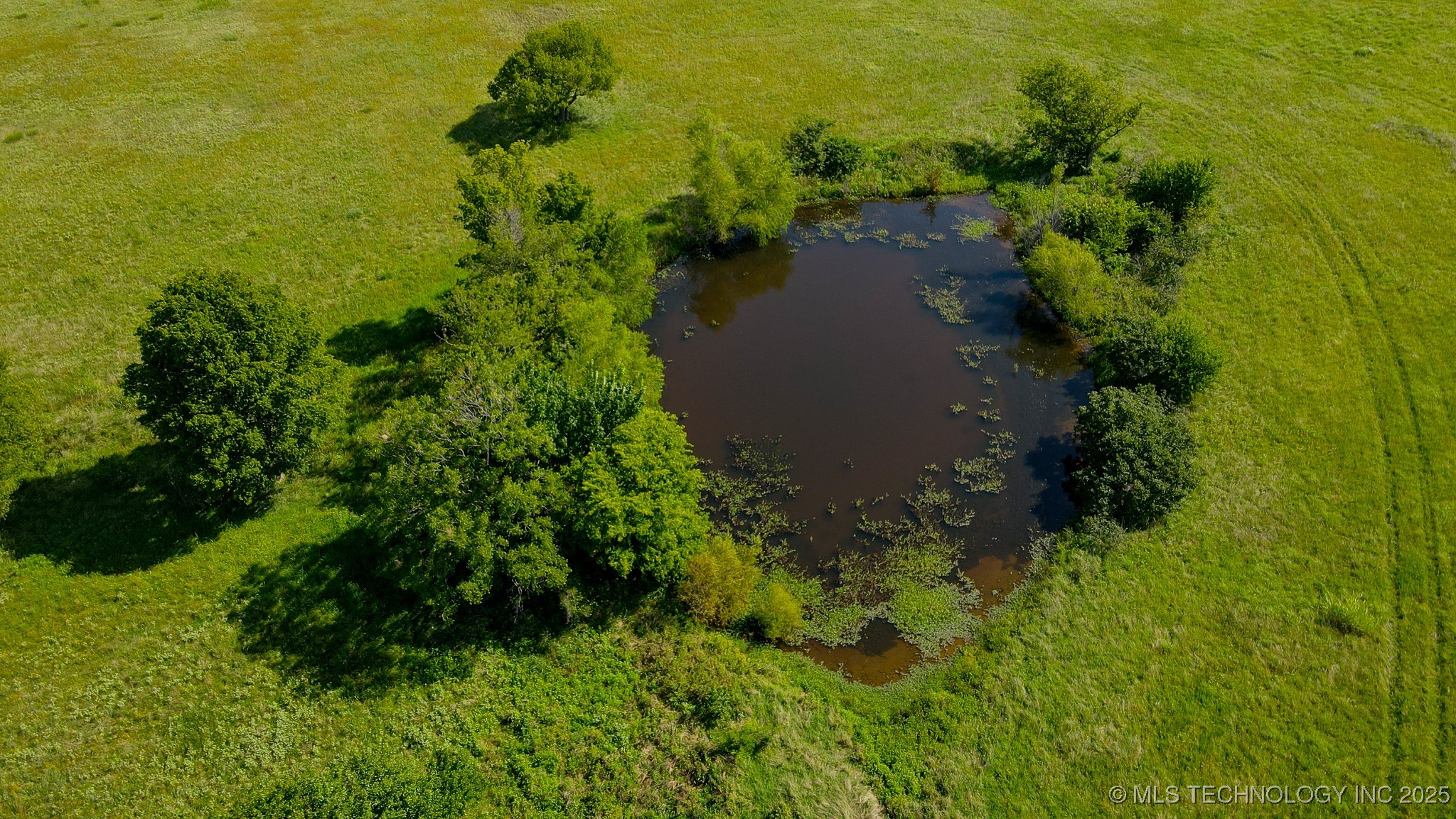 E 186th Street North Property Photo 17