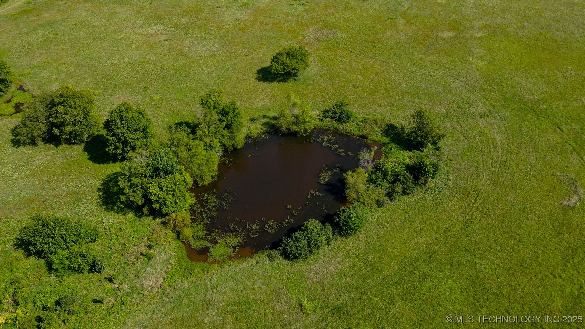 E 186th Street North Property Photo 18