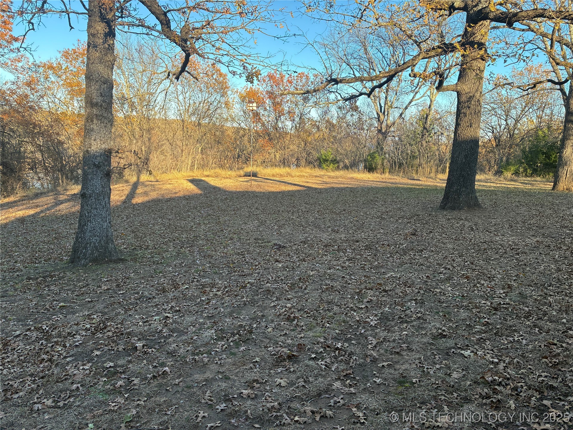 9186 Larkspur Lane Property Photo 4