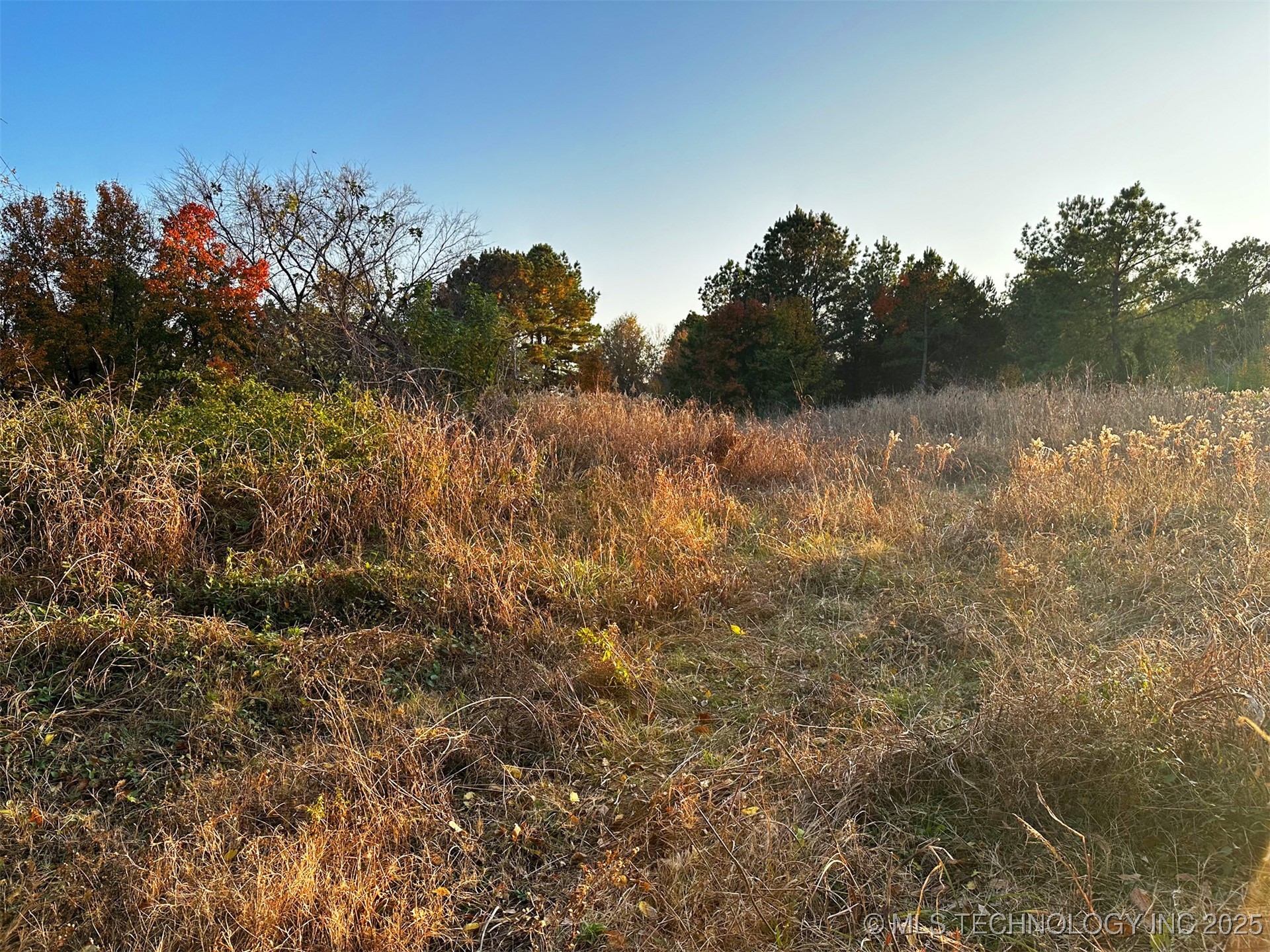 000 Ward Street Property Photo 16