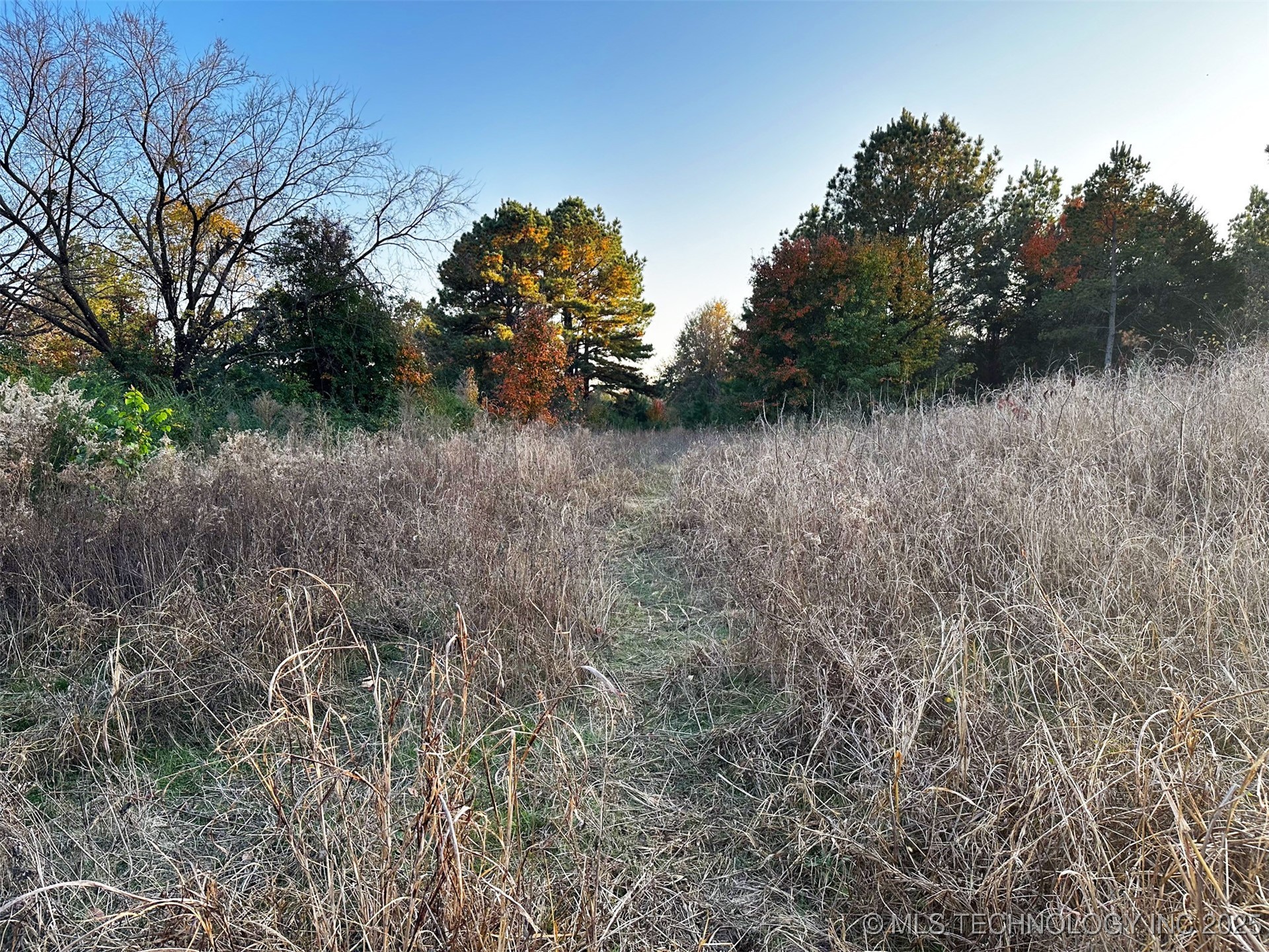 000 Ward Street Property Photo 17