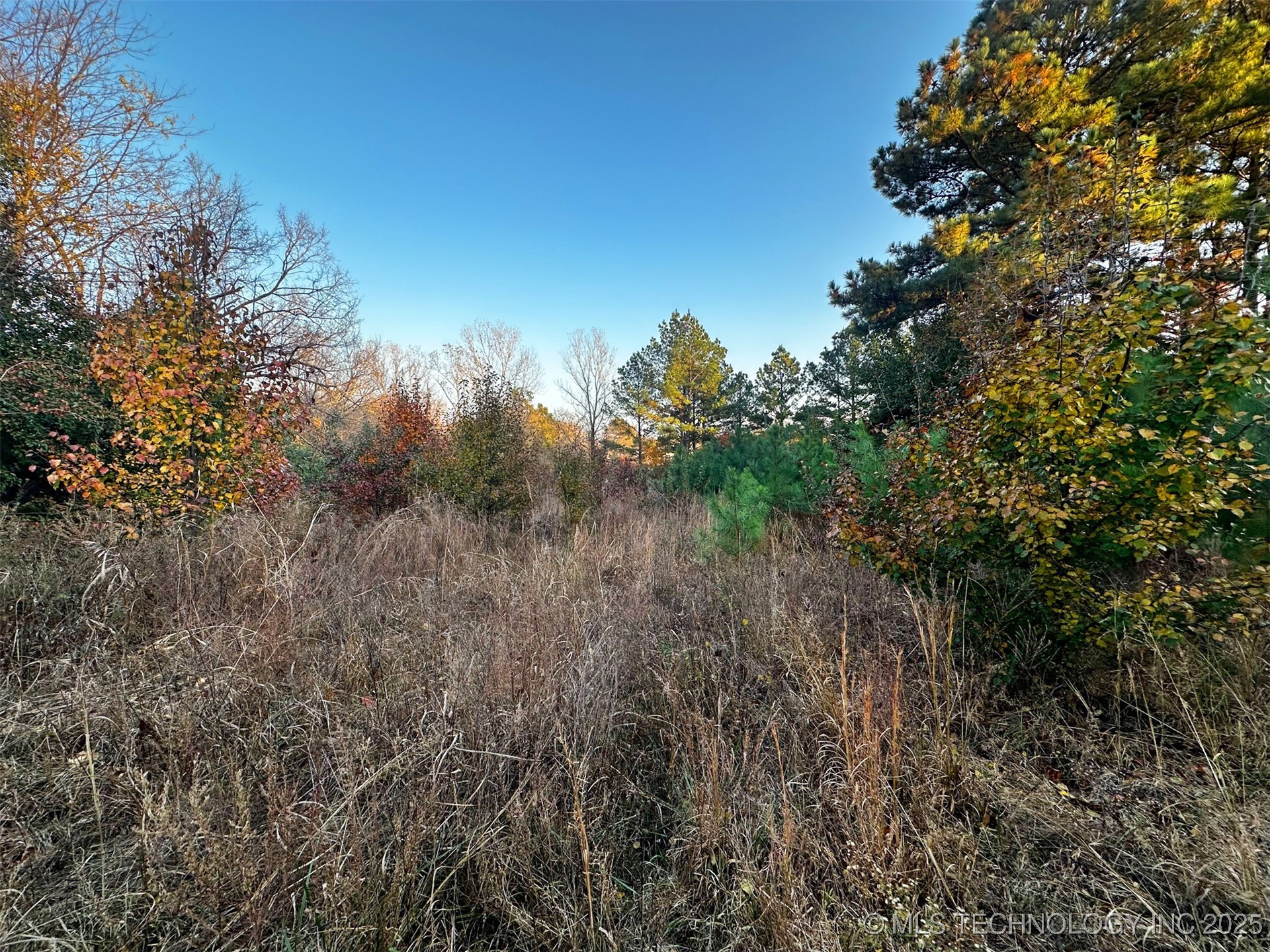 000 Ward Street Property Photo 18