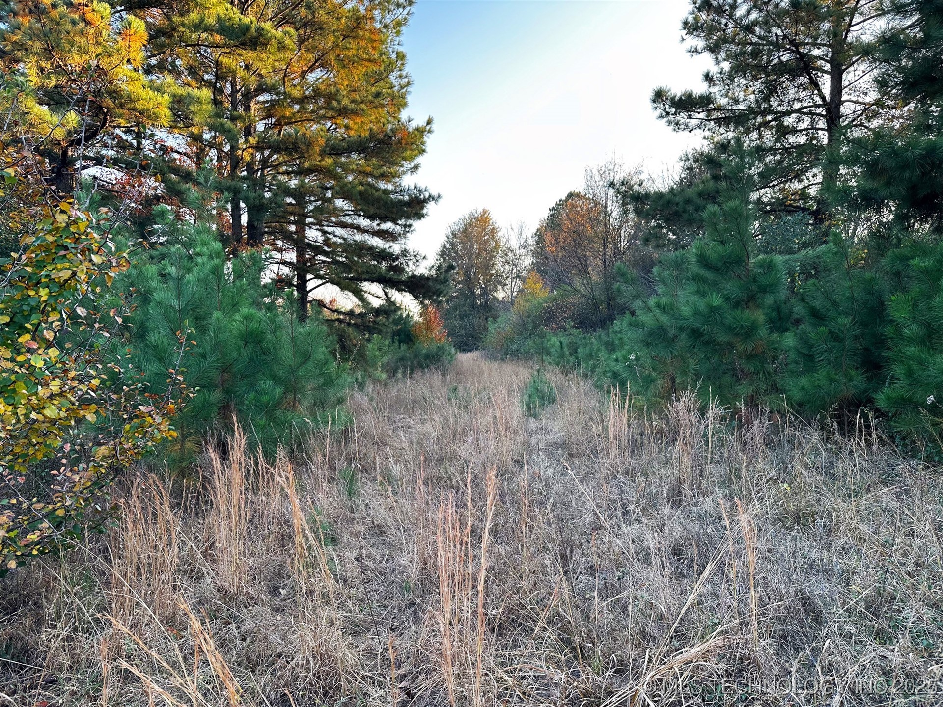 000 Ward Street Property Photo 19