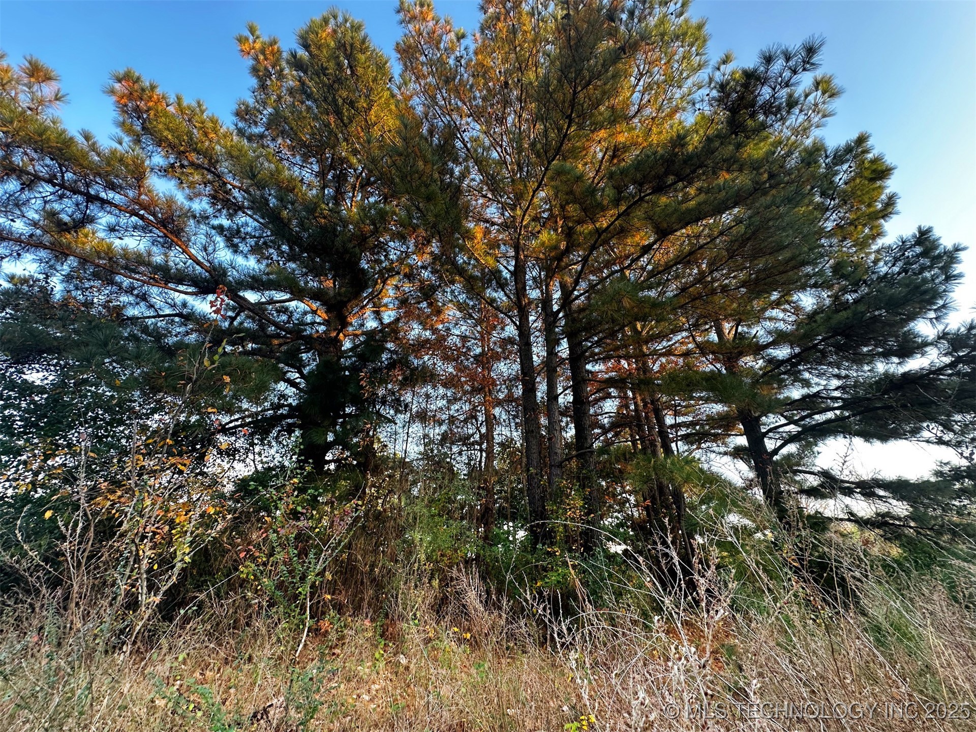 000 Ward Street Property Photo 21