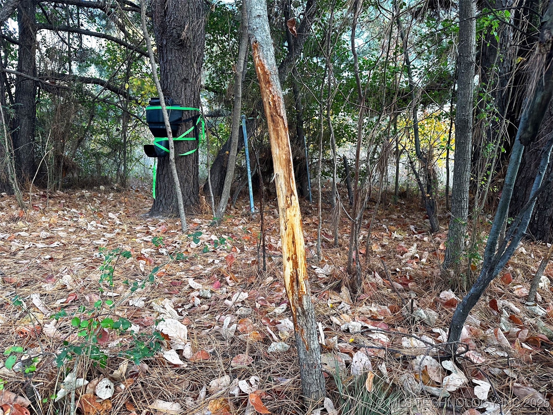 000 Ward Street Property Photo 22