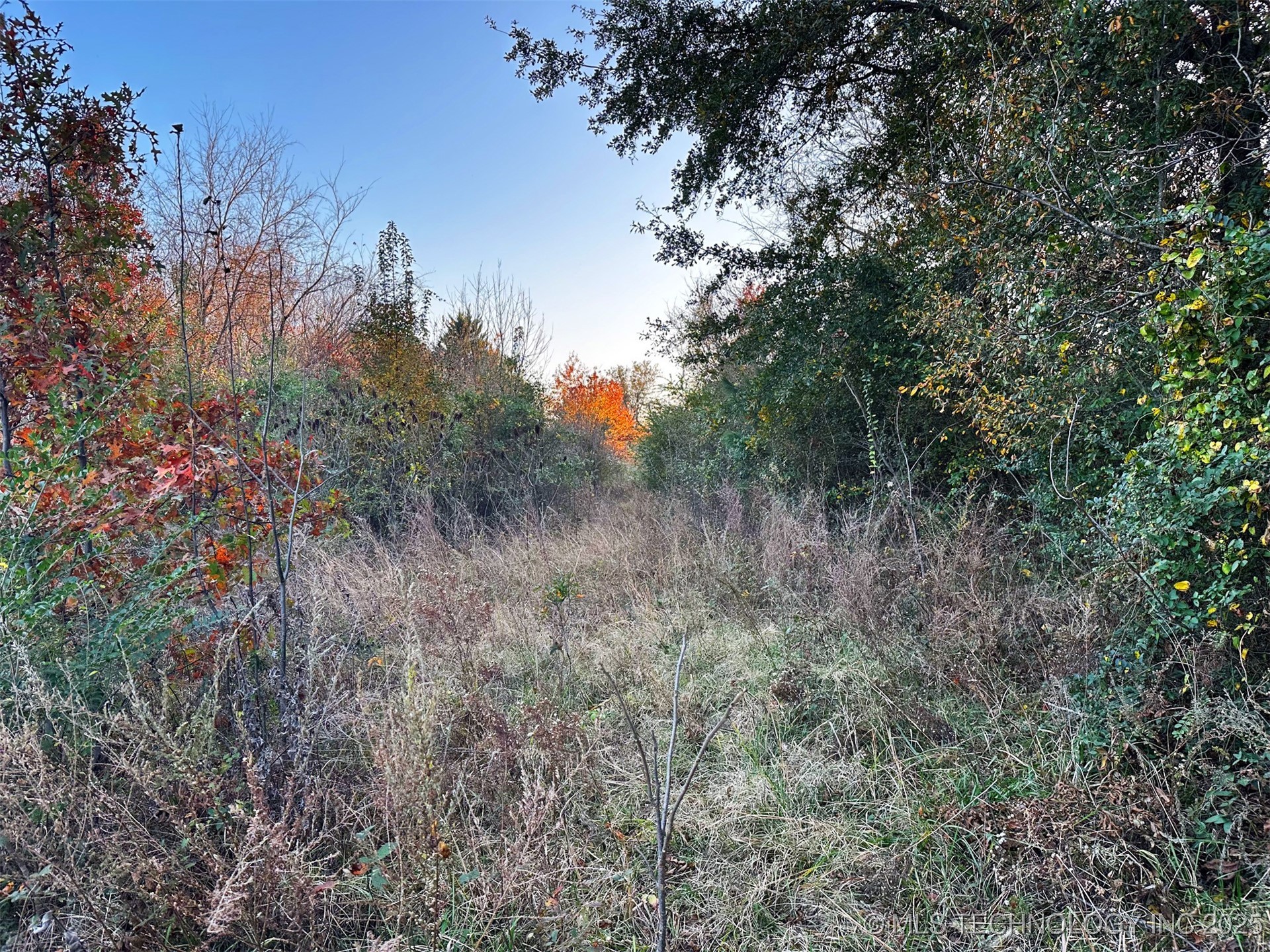 000 Ward Street Property Photo 23